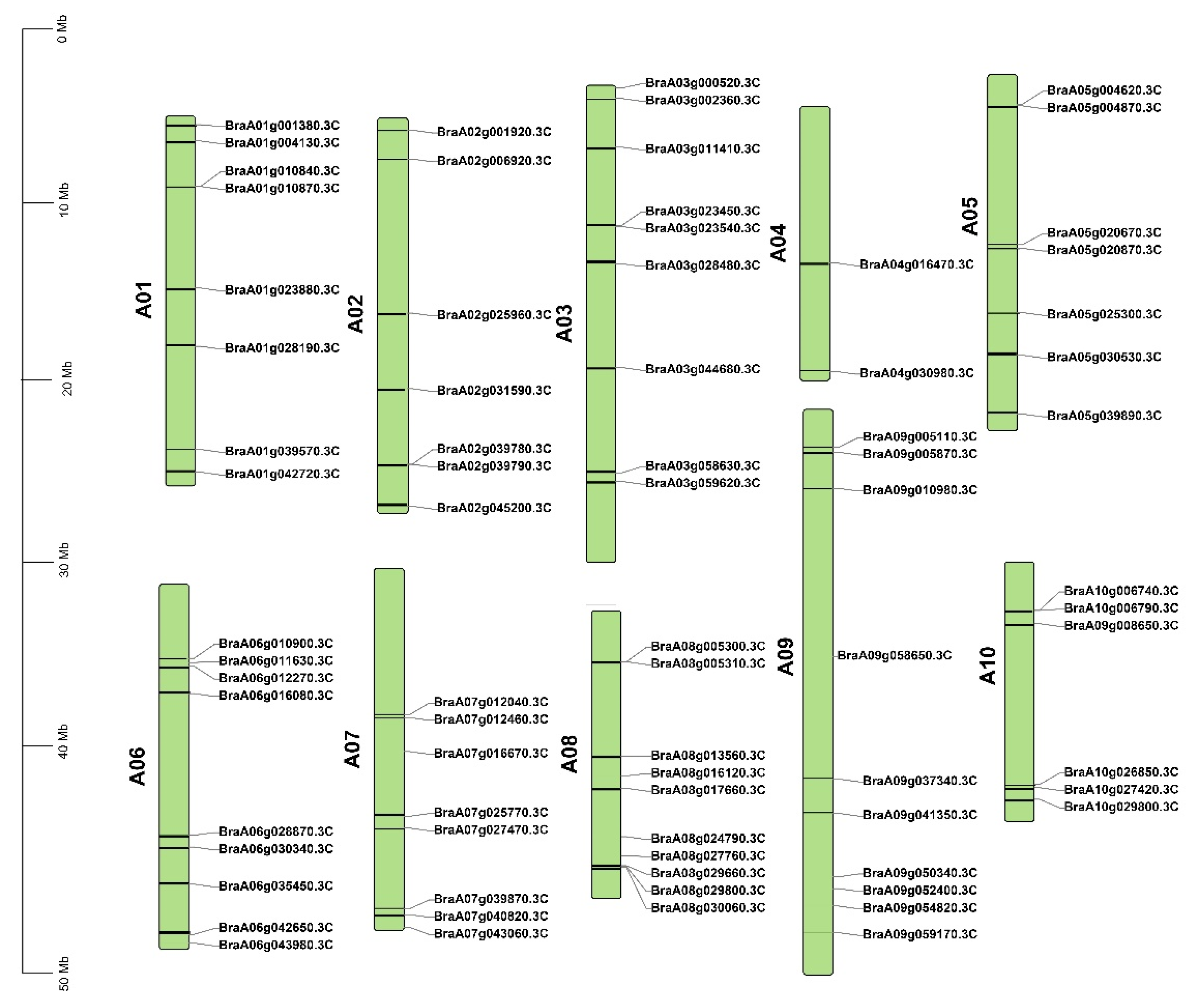 Ijms 23 14017 g001 Ijms 23 14017 g001