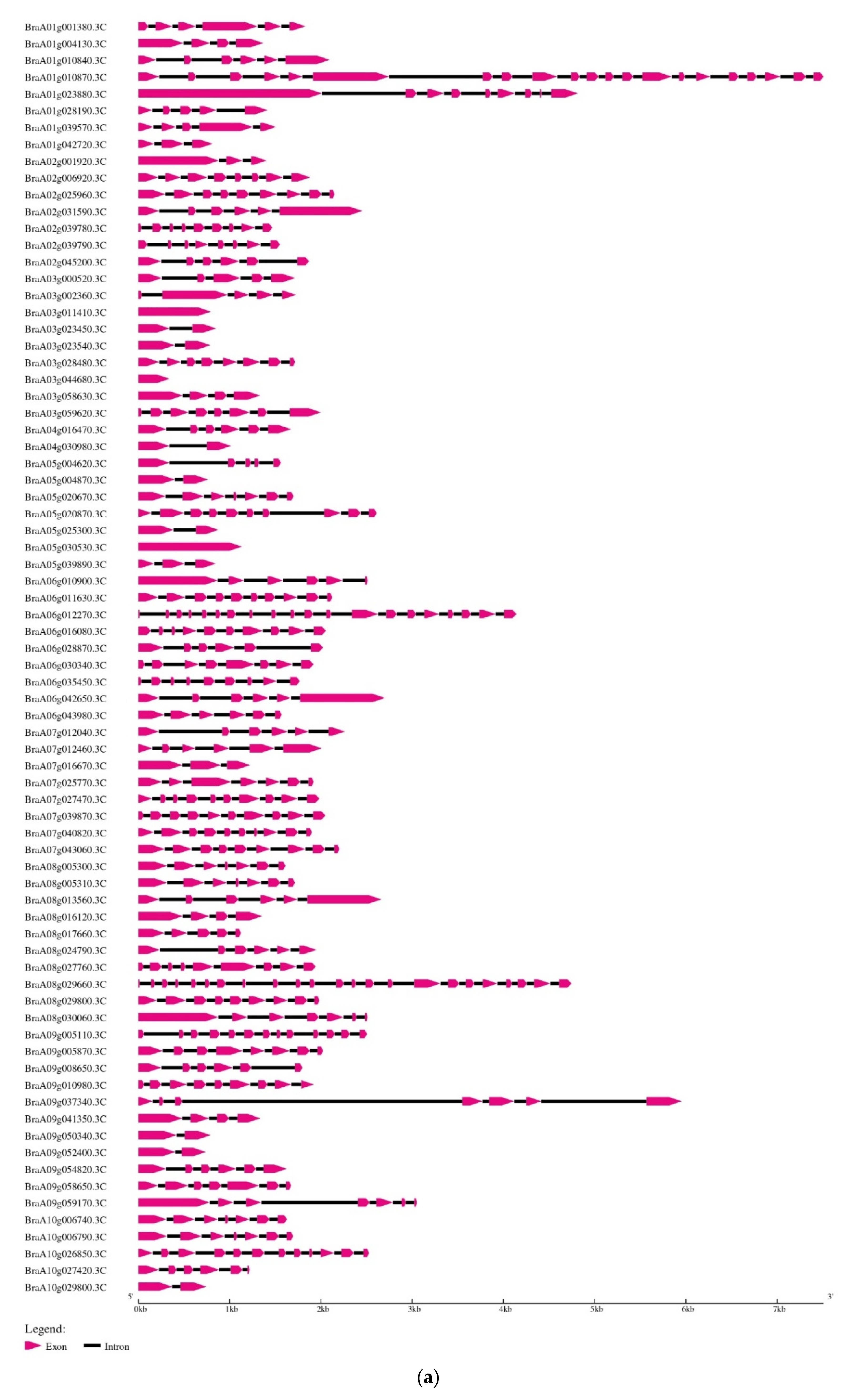 Ijms 23 14017 g002a Ijms 23 14017 g002a