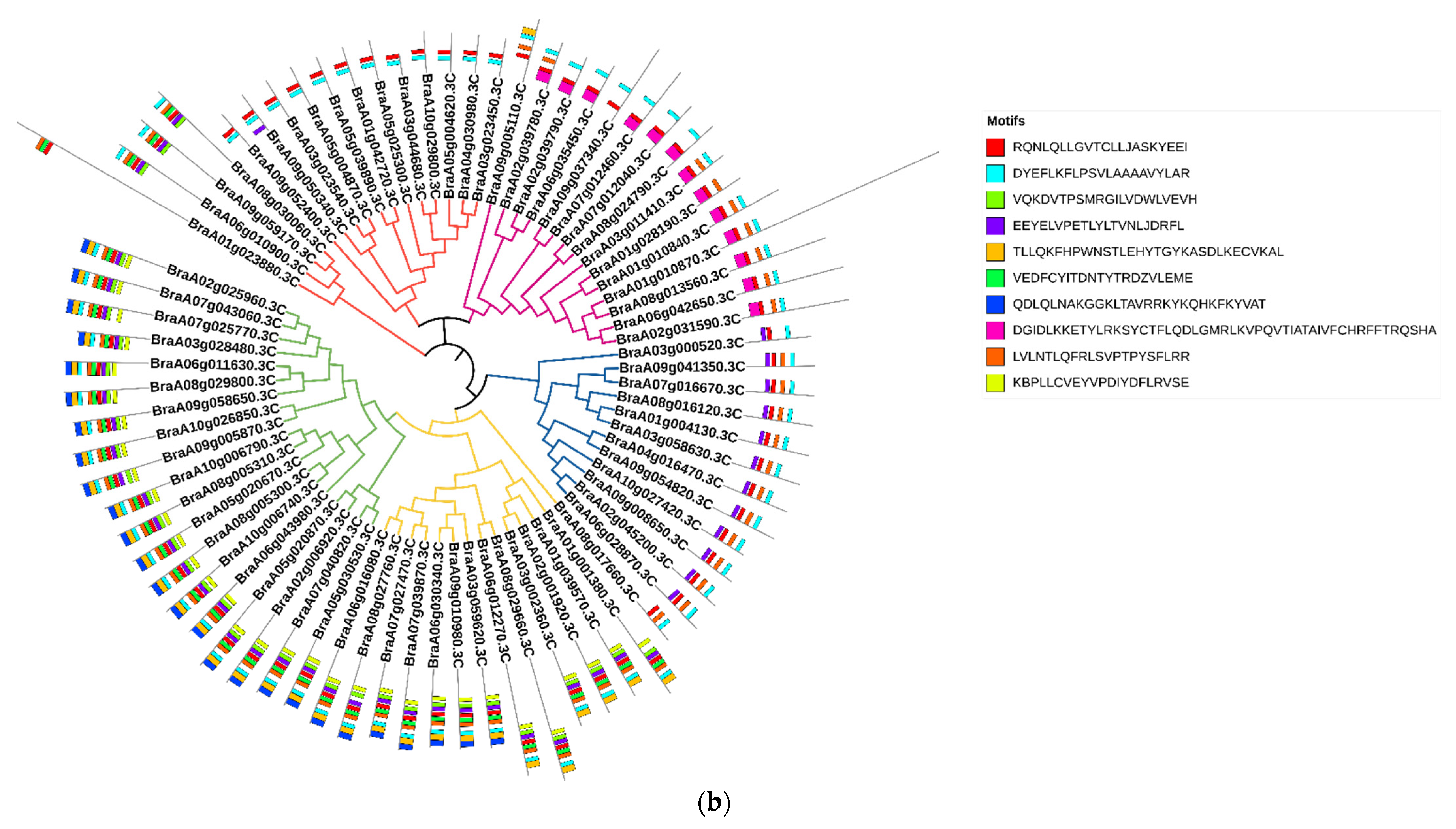 Ijms 23 14017 g002b Ijms 23 14017 g002b