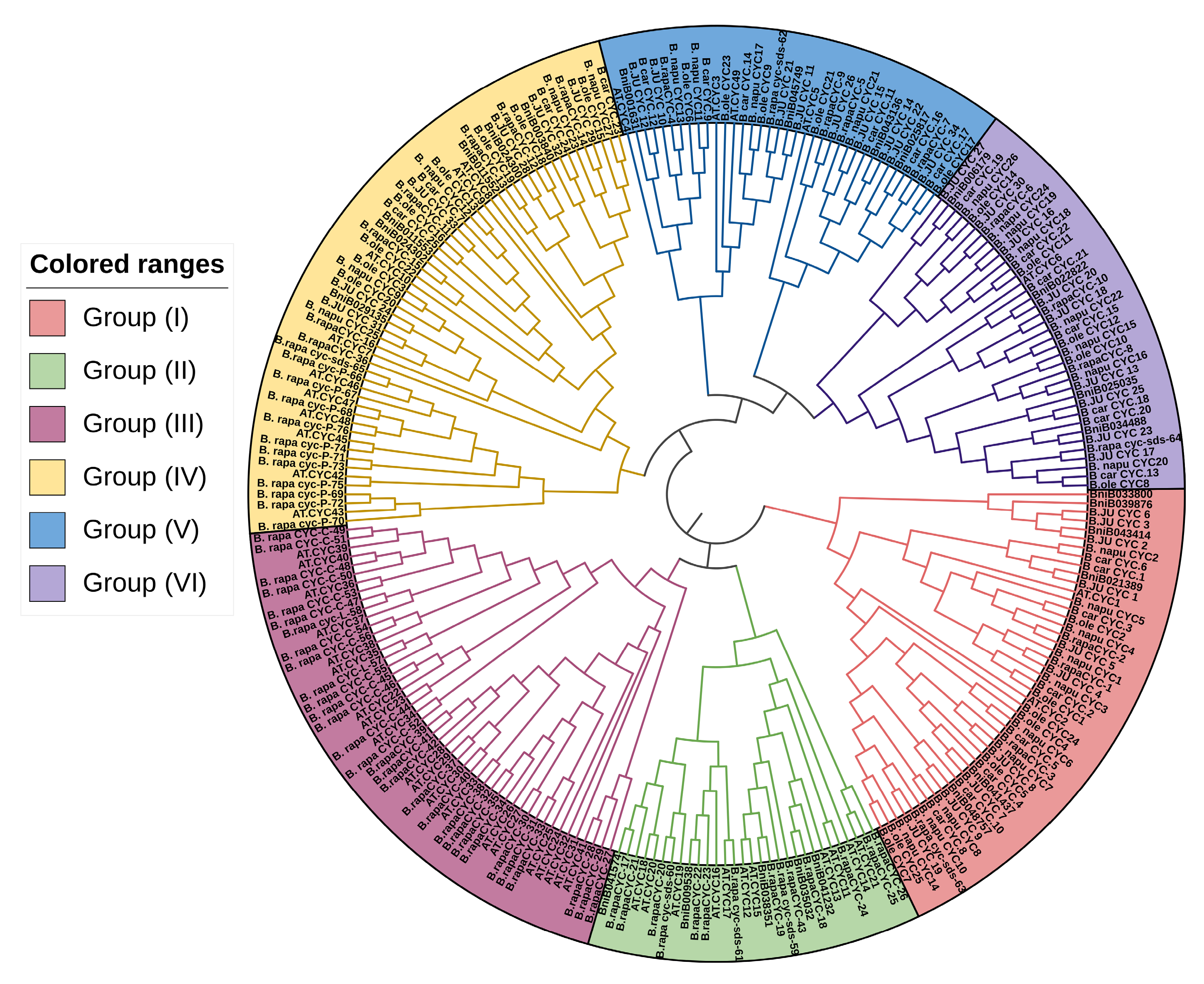 Ijms 23 14017 g003 Ijms 23 14017 g003
