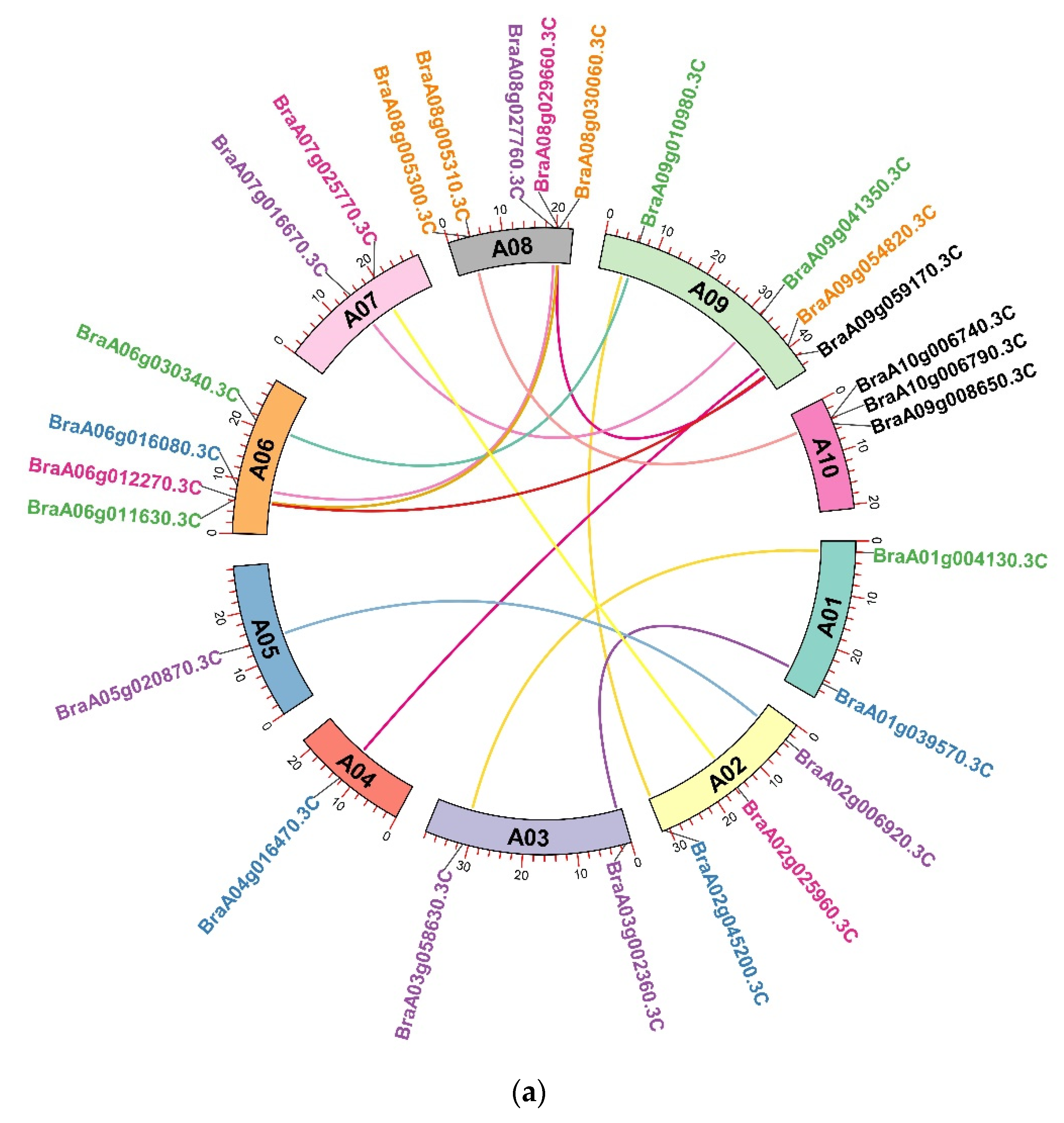 Ijms 23 14017 g004a Ijms 23 14017 g004a