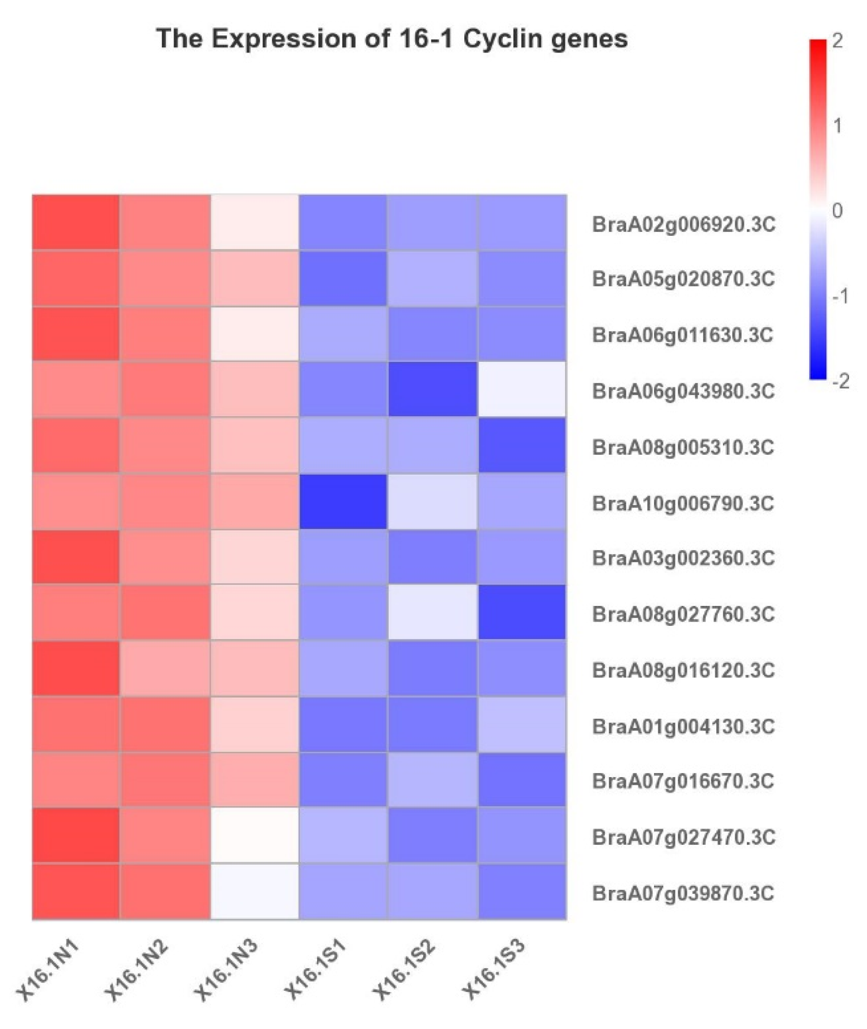 Ijms 23 14017 g008 Ijms 23 14017 g008