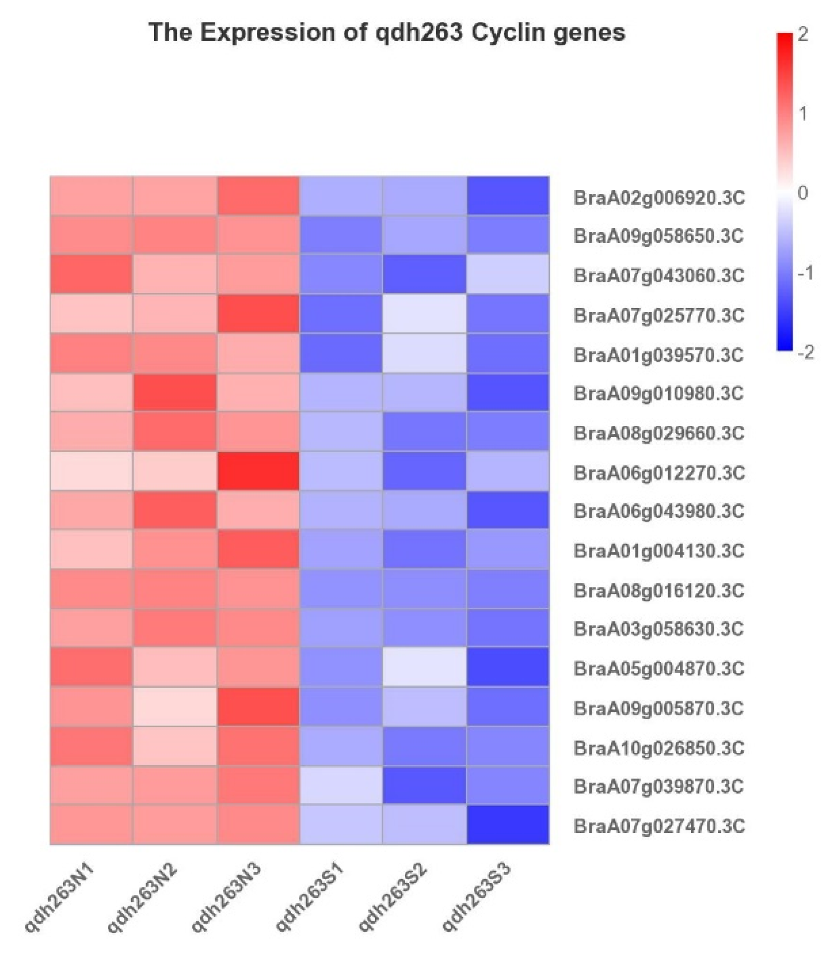 Ijms 23 14017 g009 Ijms 23 14017 g009