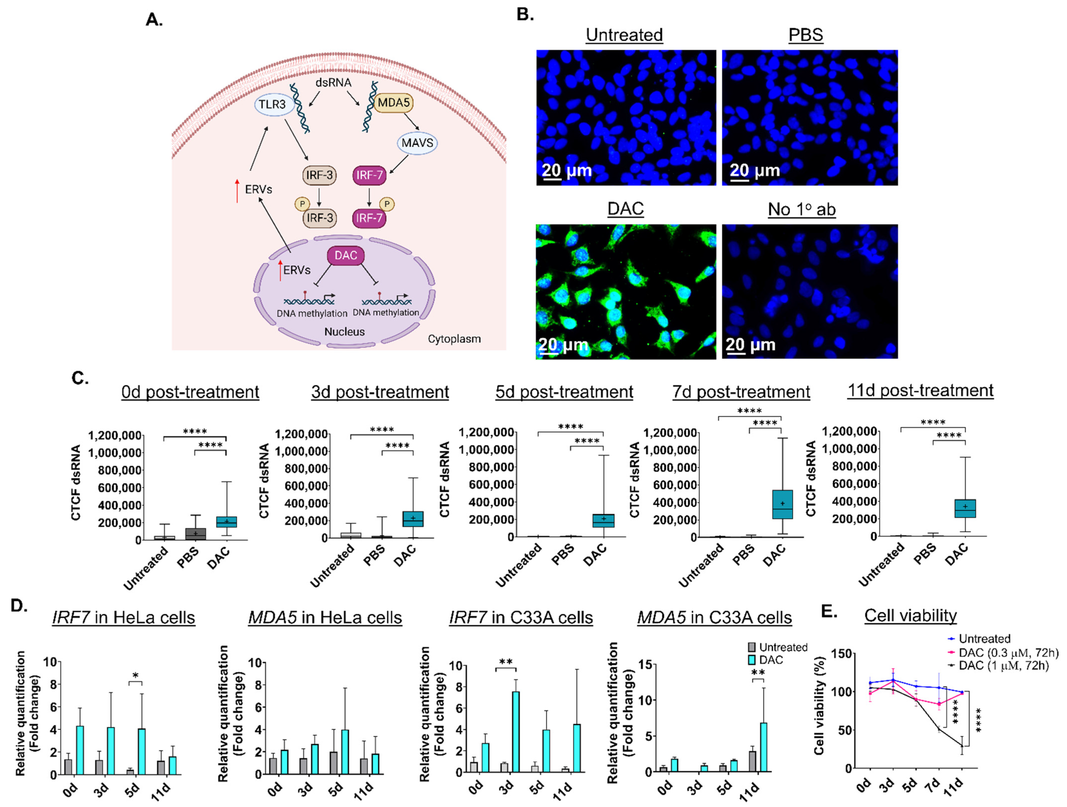 Ijms 23 14042 g001 Ijms 23 14042 g001