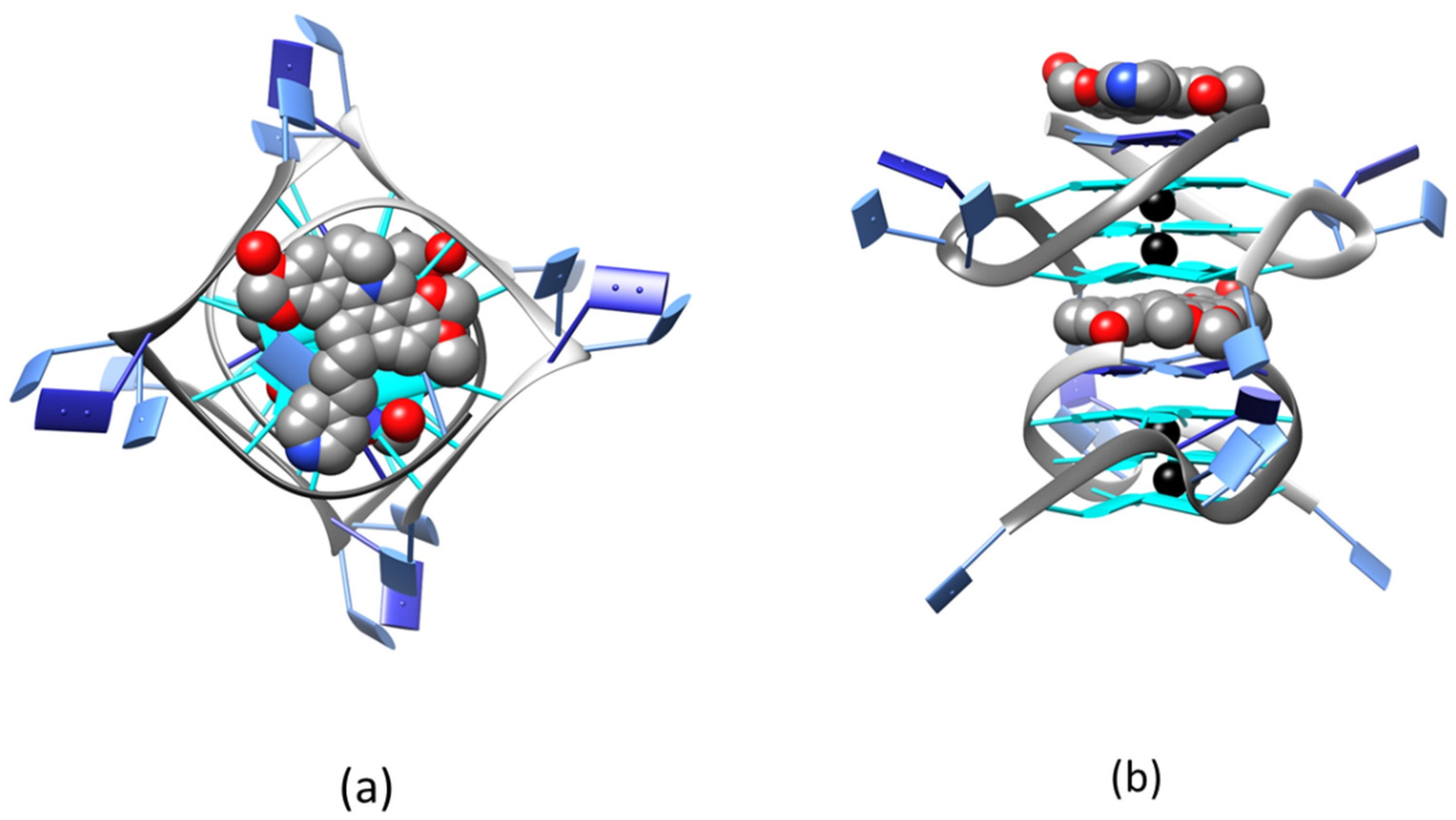 Ijms 23 14061 g003 Ijms 23 14061 g003