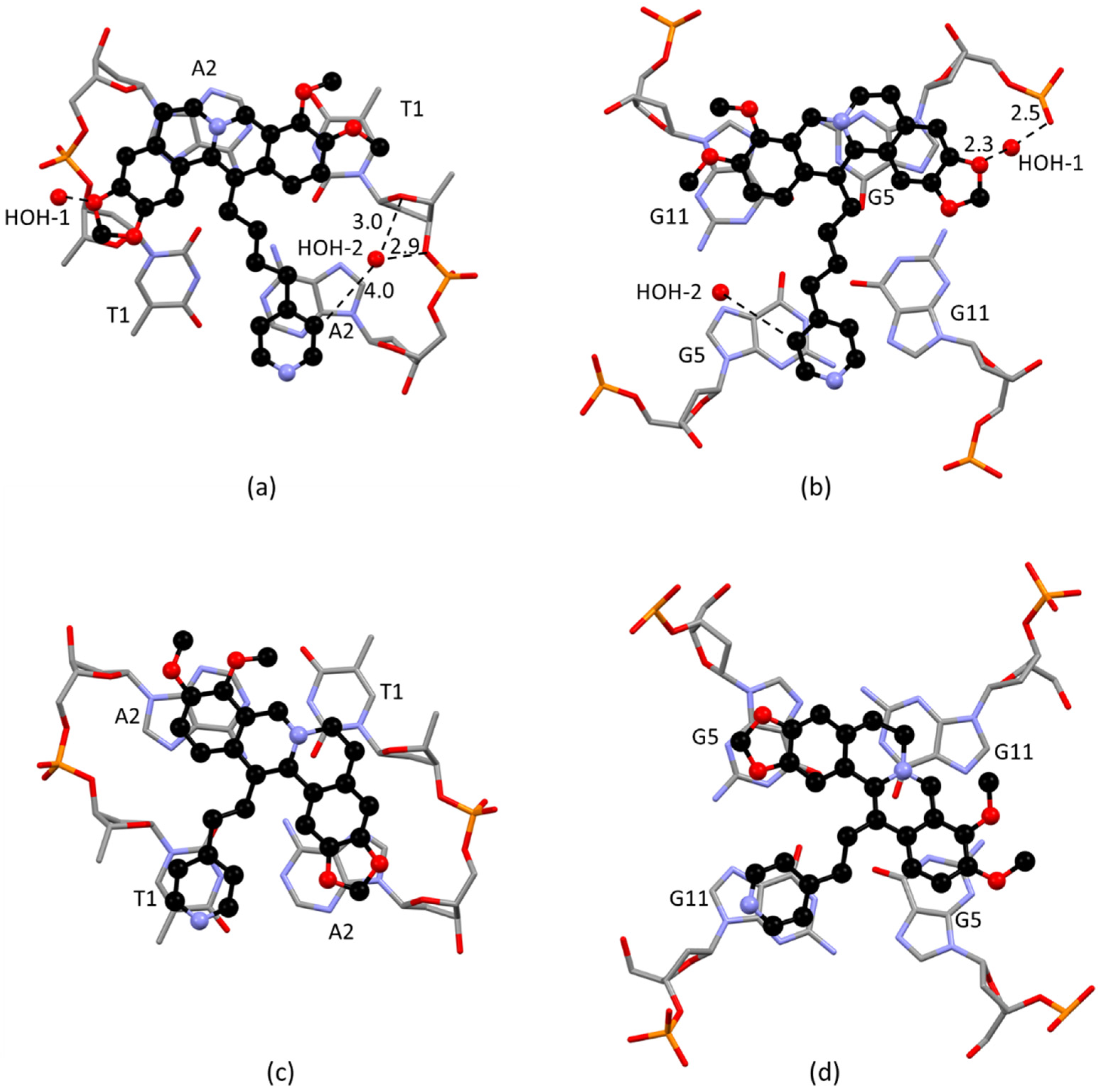 Ijms 23 14061 g004 Ijms 23 14061 g004