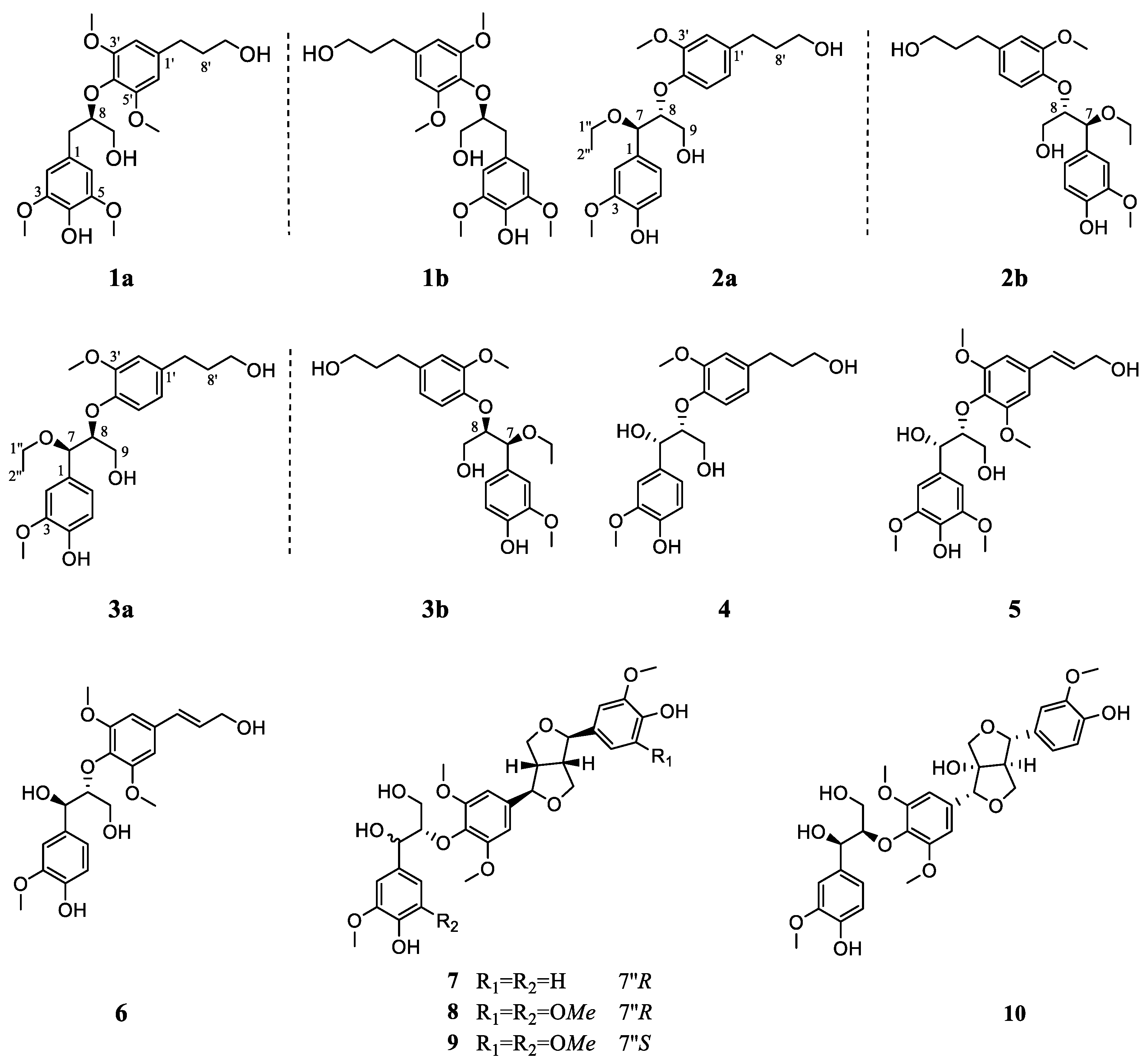 Ijms 23 14062 g001 Ijms 23 14062 g001