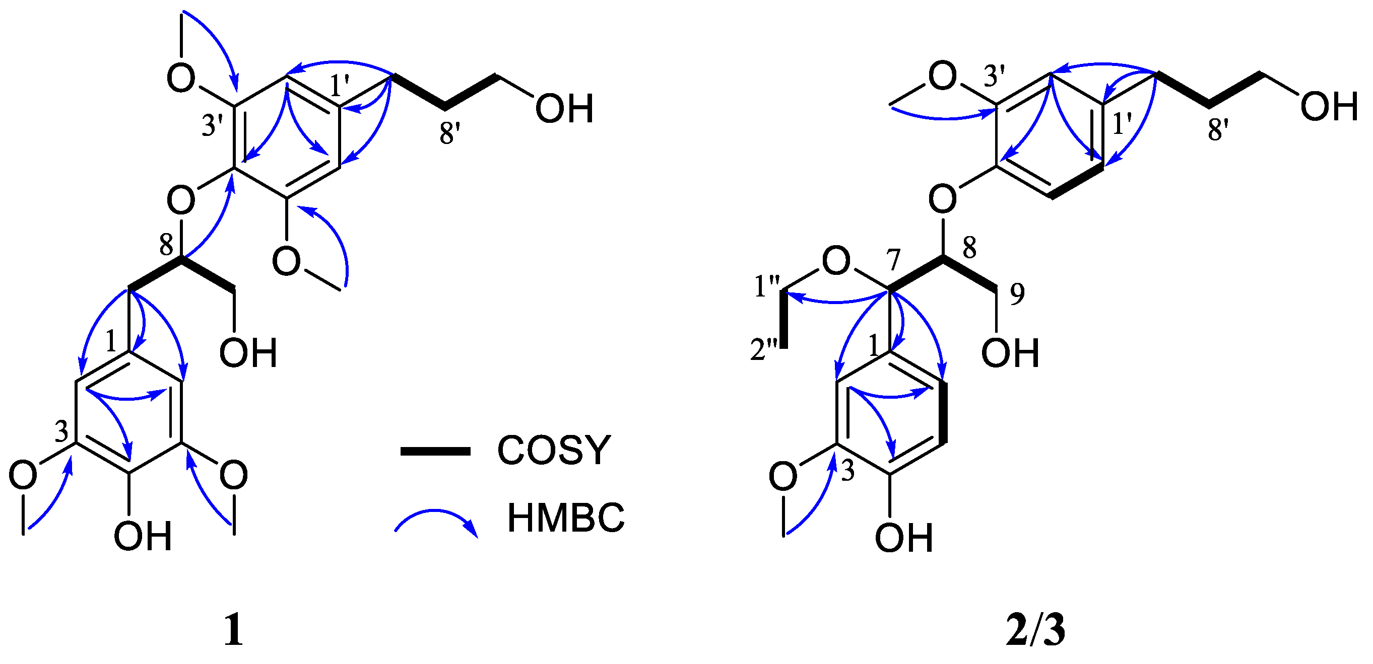 Ijms 23 14062 g002 Ijms 23 14062 g002
