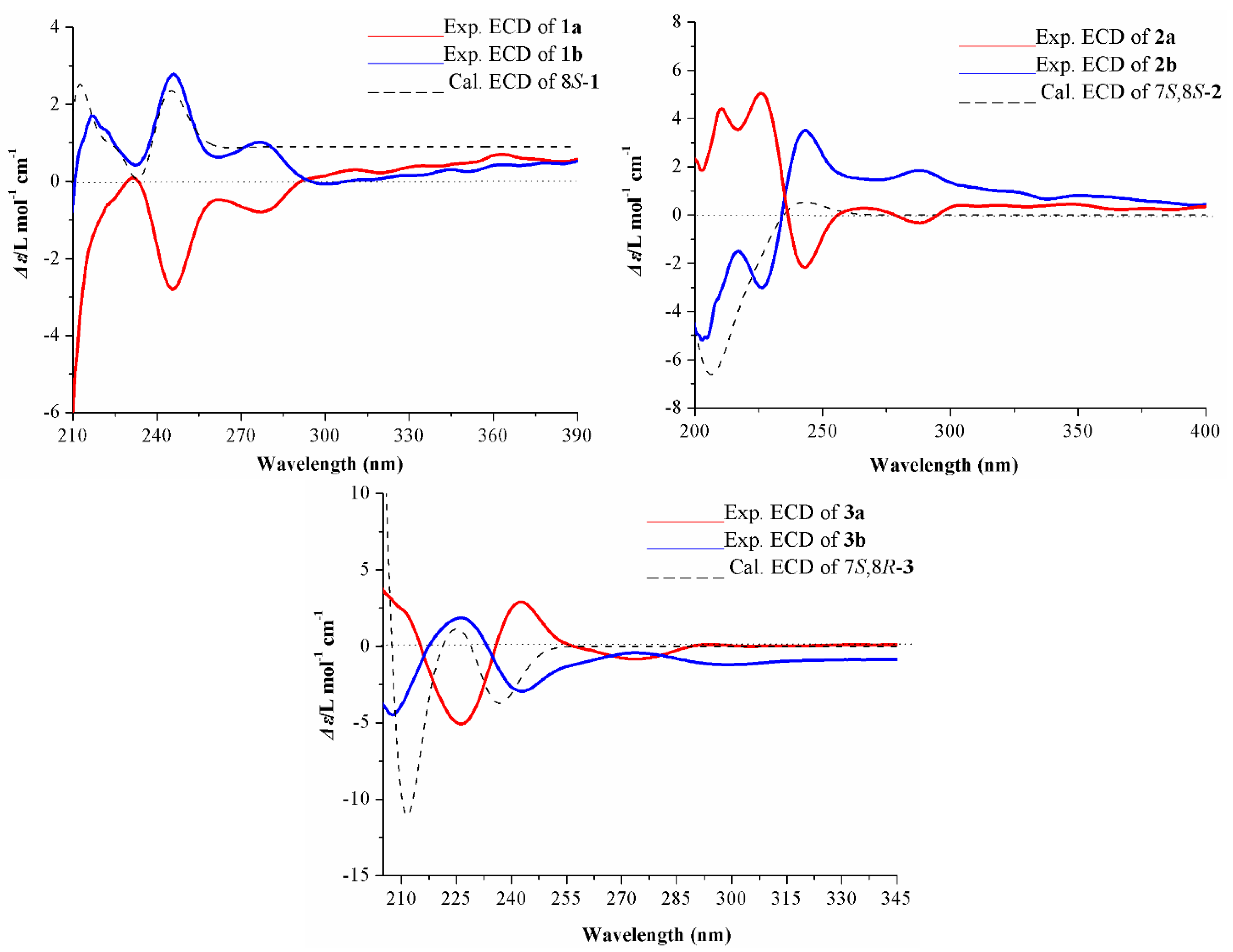 Ijms 23 14062 g003 Ijms 23 14062 g003