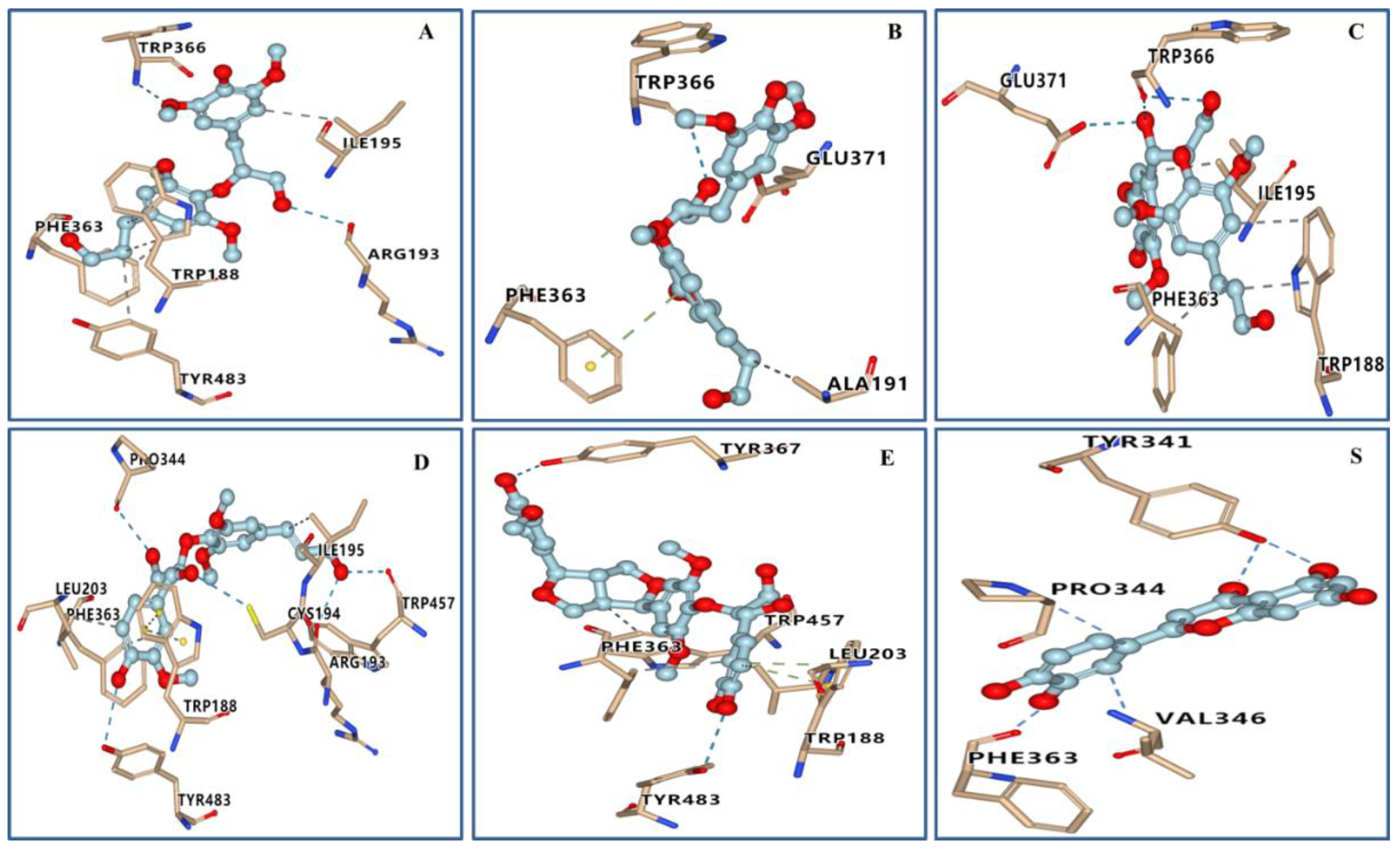 Ijms 23 14062 g005 Ijms 23 14062 g005