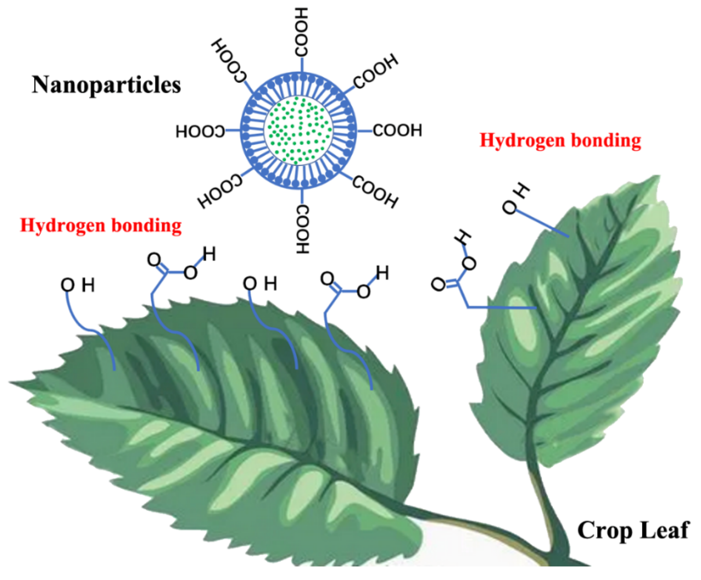 Ijms 23 14063 sch002