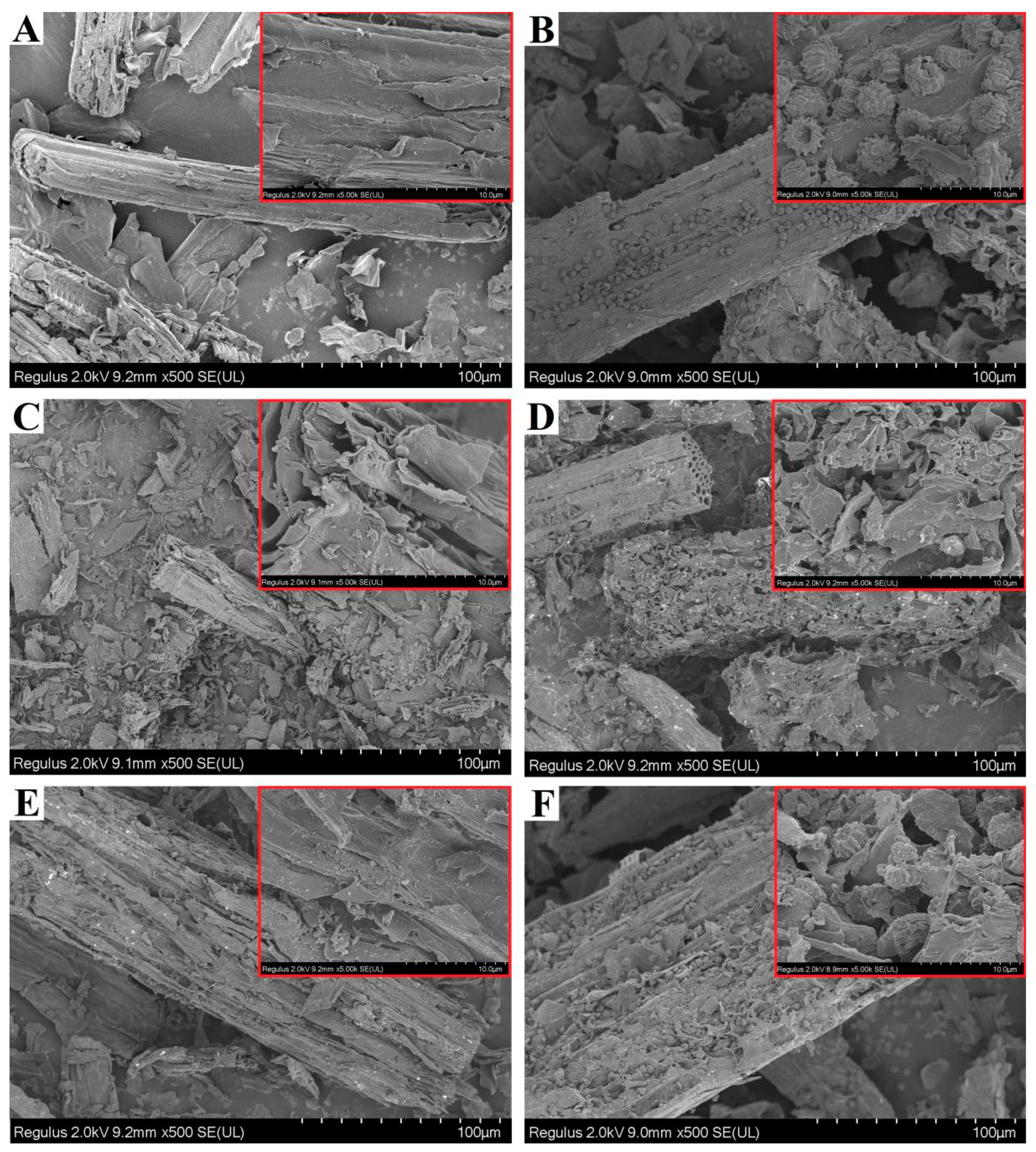 Ijms 23 14082 g001 Ijms 23 14082 g001