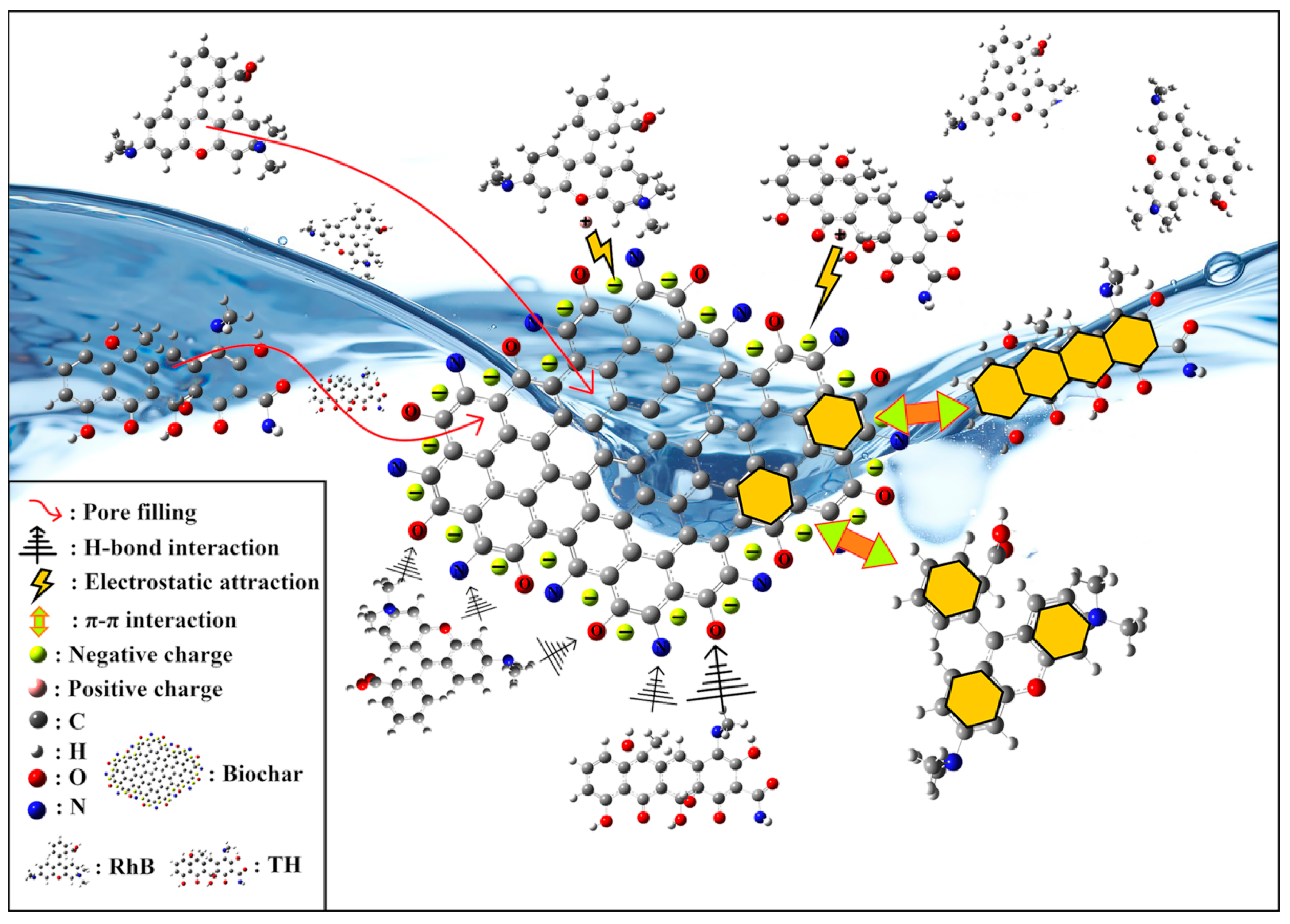 Ijms 23 14082 g010 Ijms 23 14082 g010