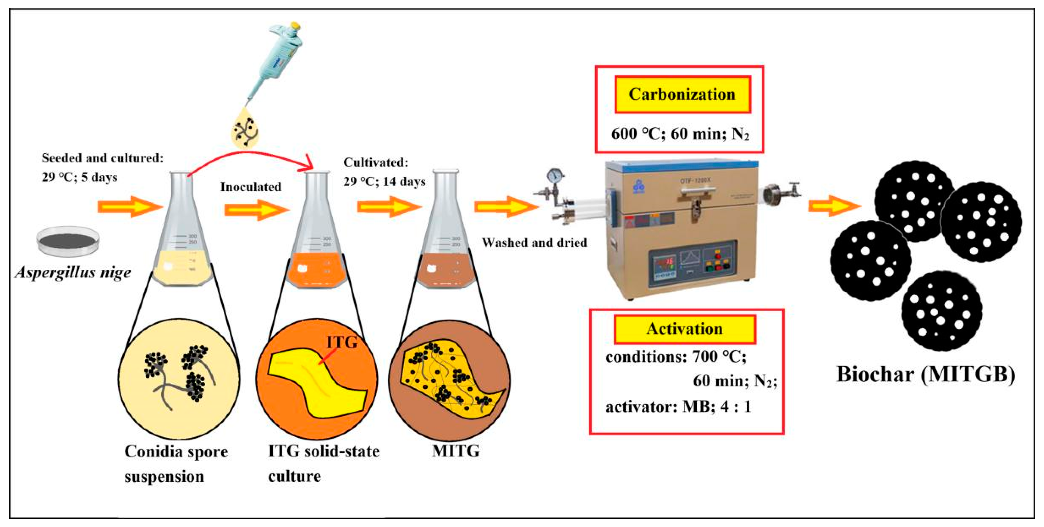 Ijms 23 14082 sch001 Ijms 23 14082 sch001