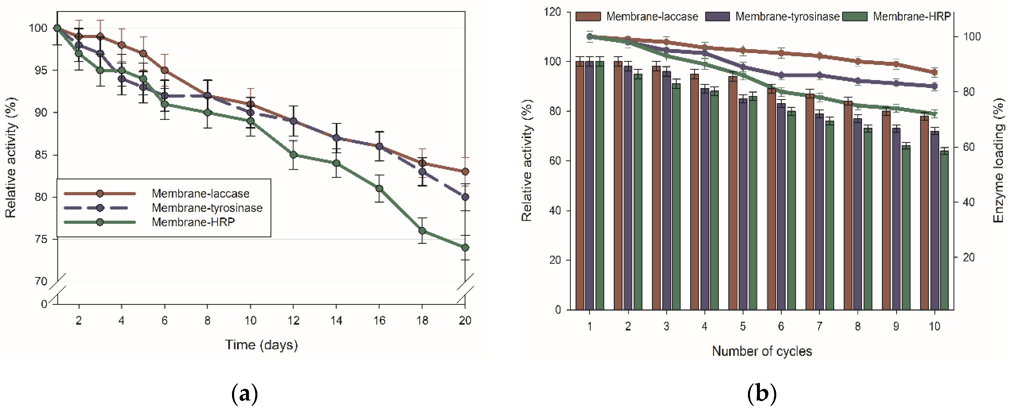 Ijms 23 14086 g003 Ijms 23 14086 g003