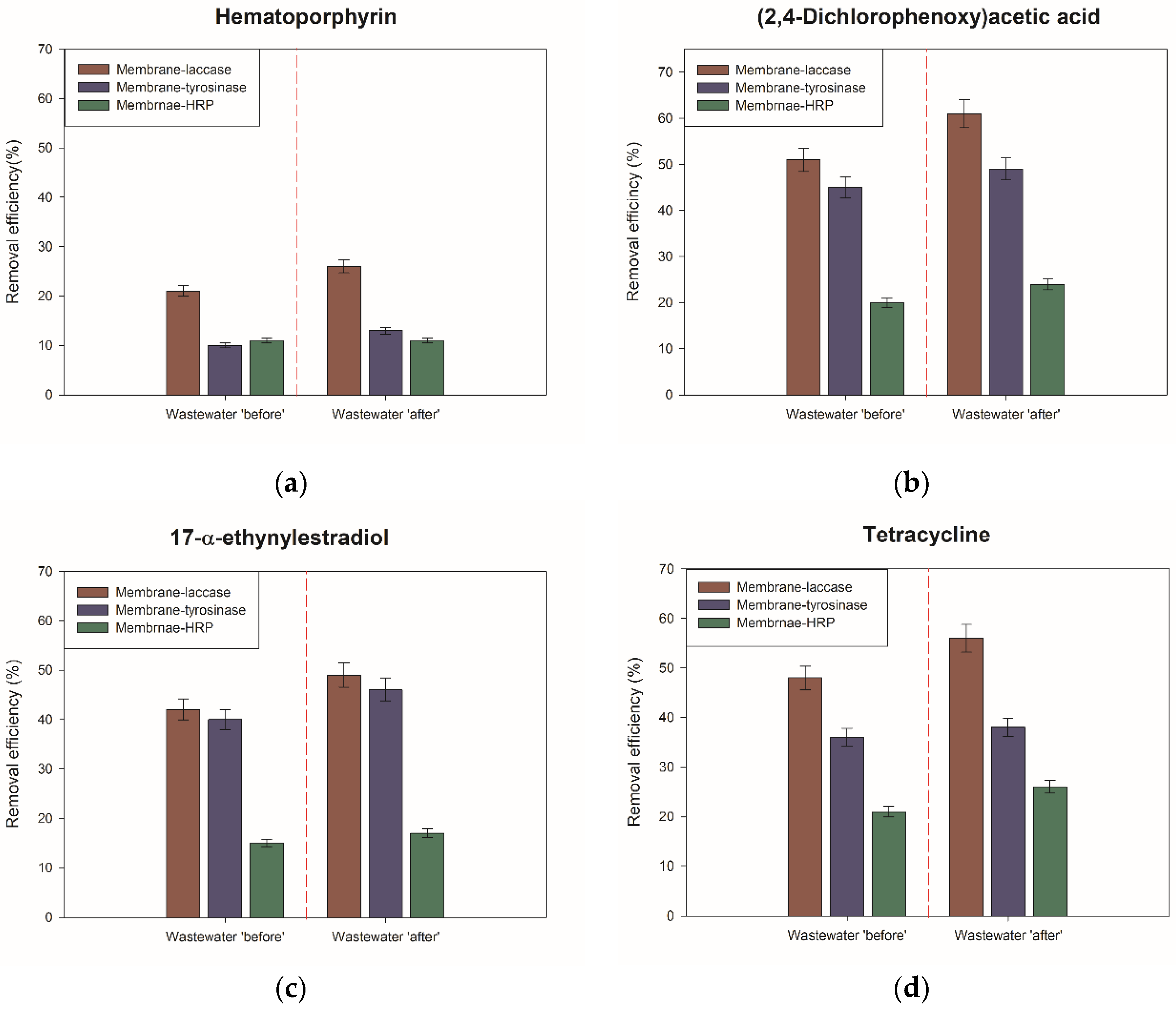 Ijms 23 14086 g005a Ijms 23 14086 g005a