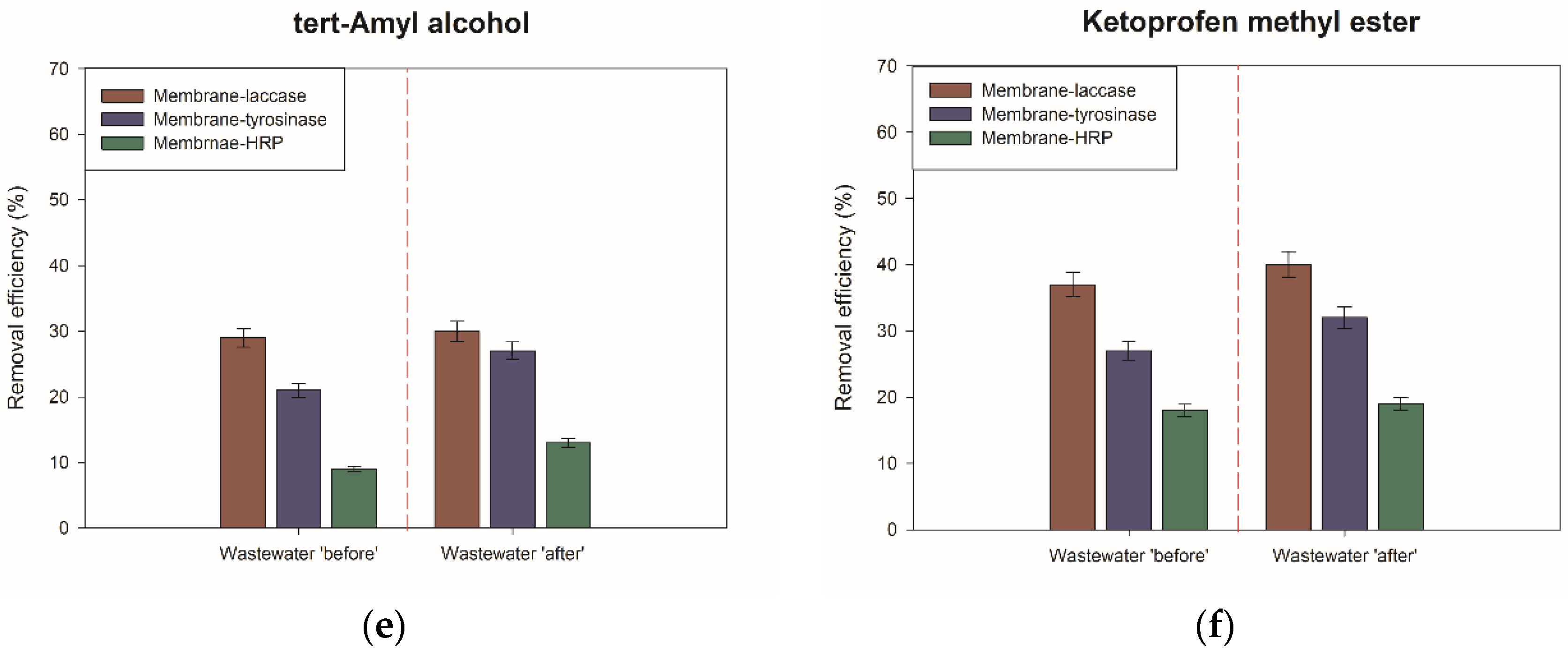 Ijms 23 14086 g005b Ijms 23 14086 g005b