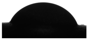 Ijms 23 14136 i001
