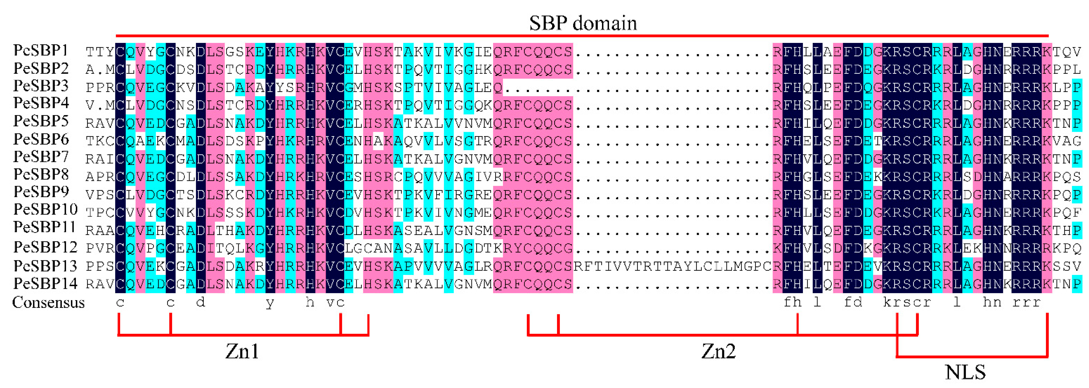 Ijms 23 14153 g001