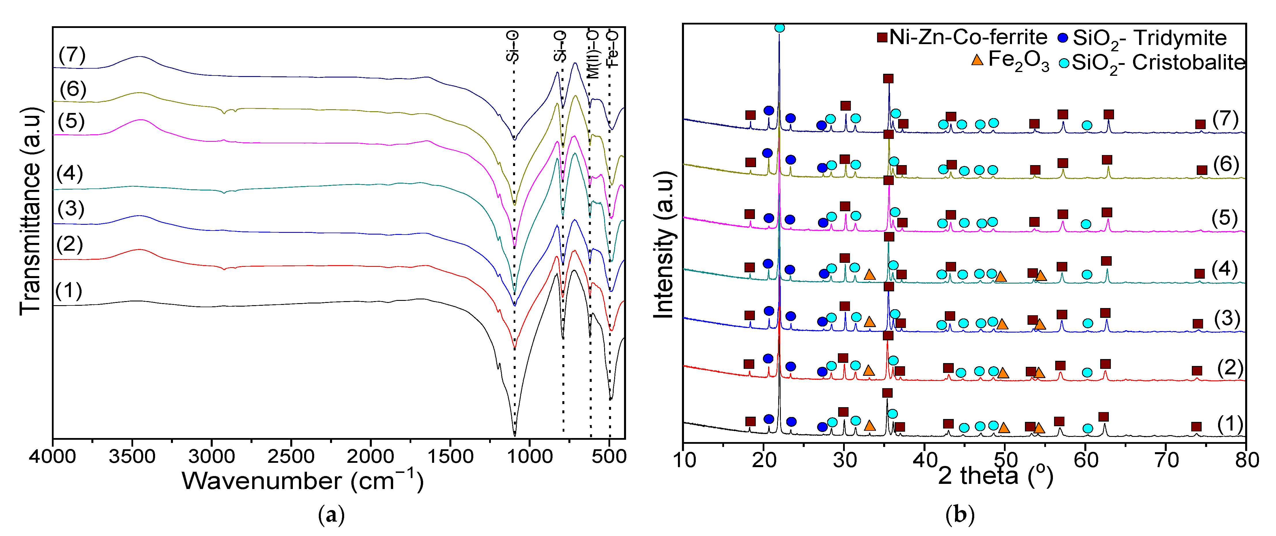 Ijms 23 14167 g003 Ijms 23 14167 g003