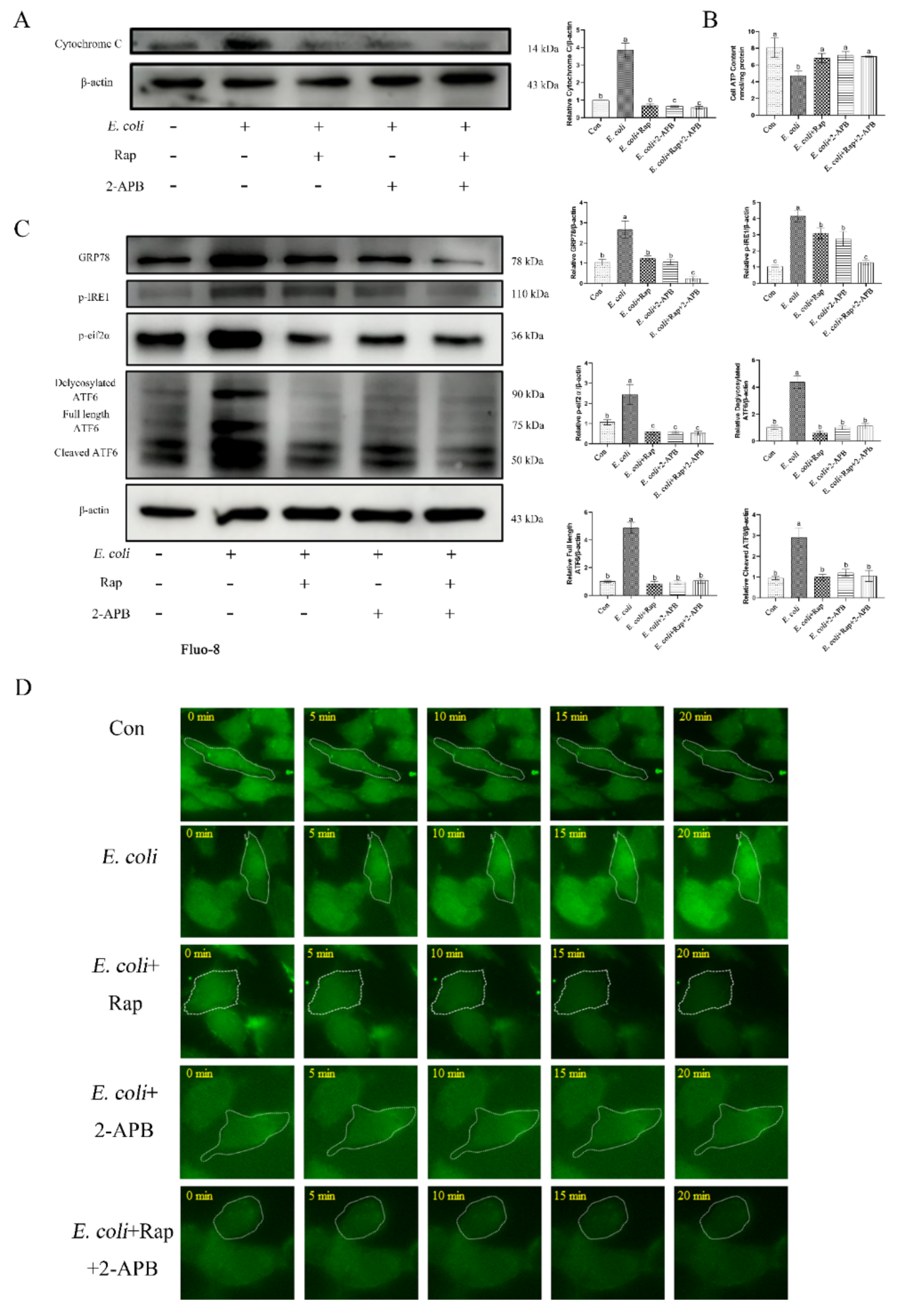 Ijms 23 14174 g009 Ijms 23 14174 g009