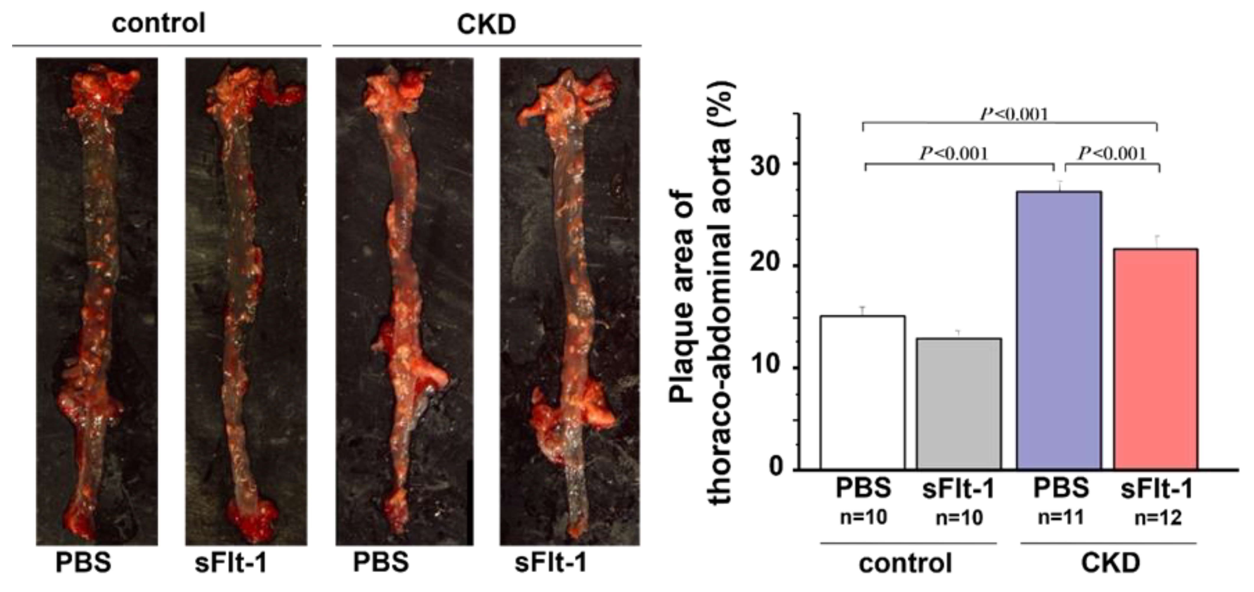 Ijms 23 14187 g004 Ijms 23 14187 g004