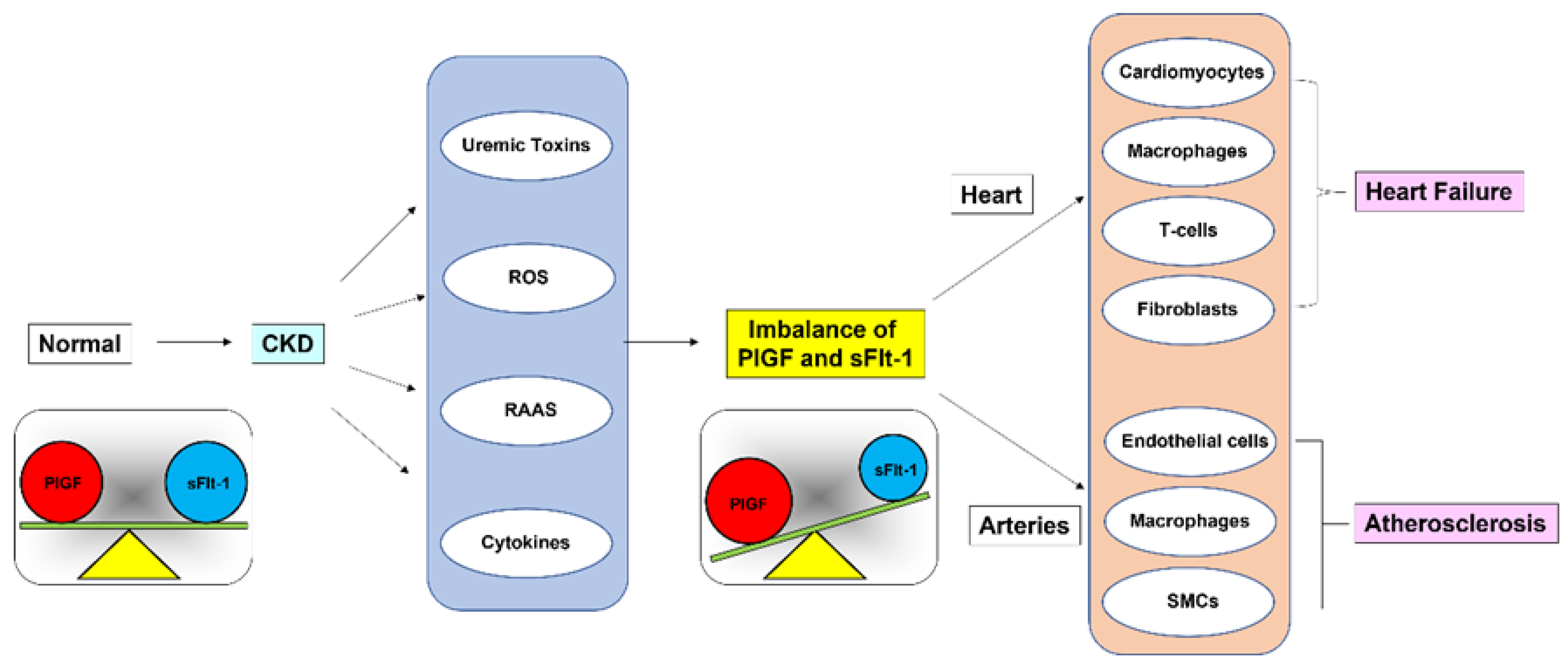 Ijms 23 14187 g007 Ijms 23 14187 g007