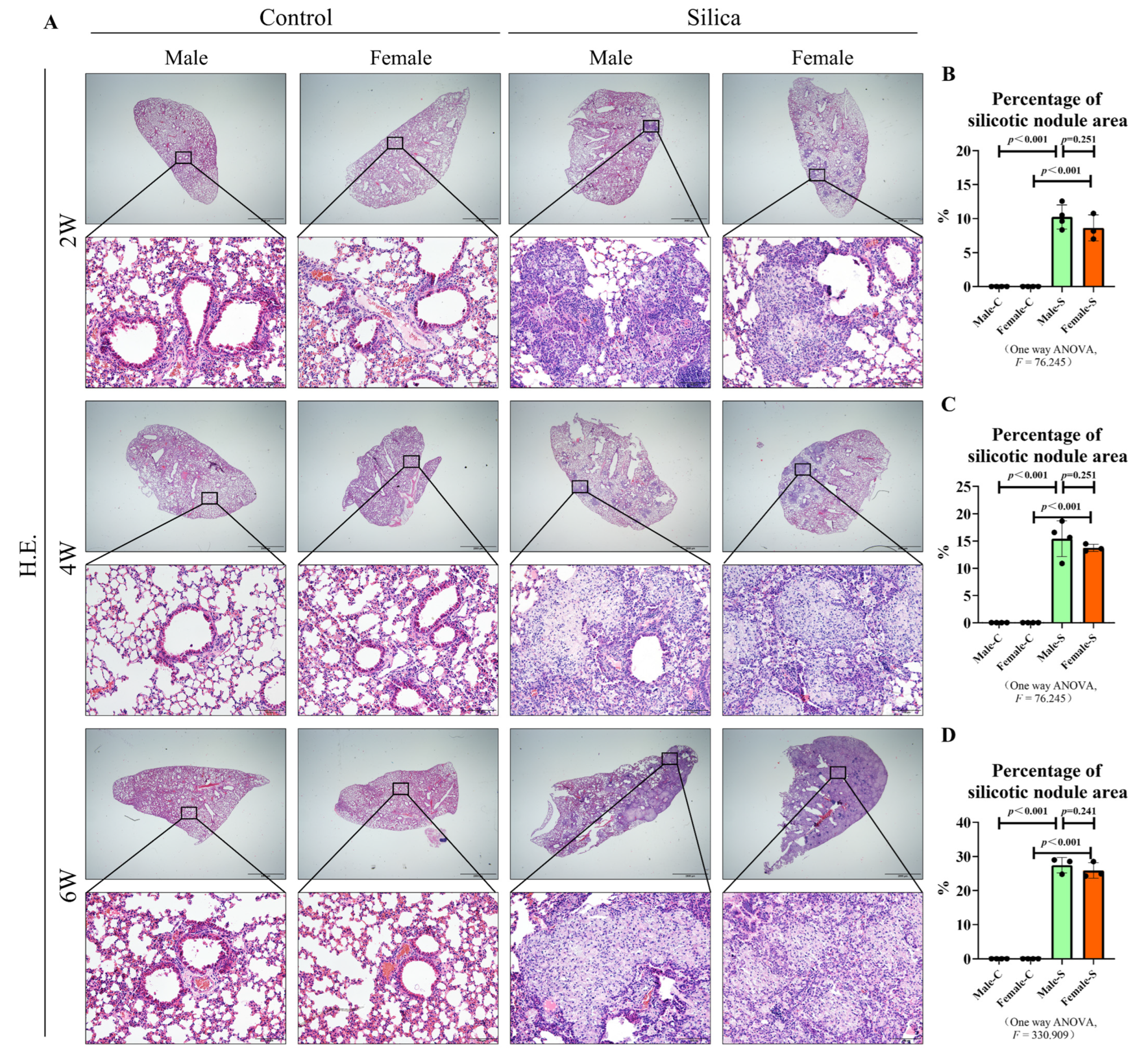 Ijms 23 14203 g002 Ijms 23 14203 g002