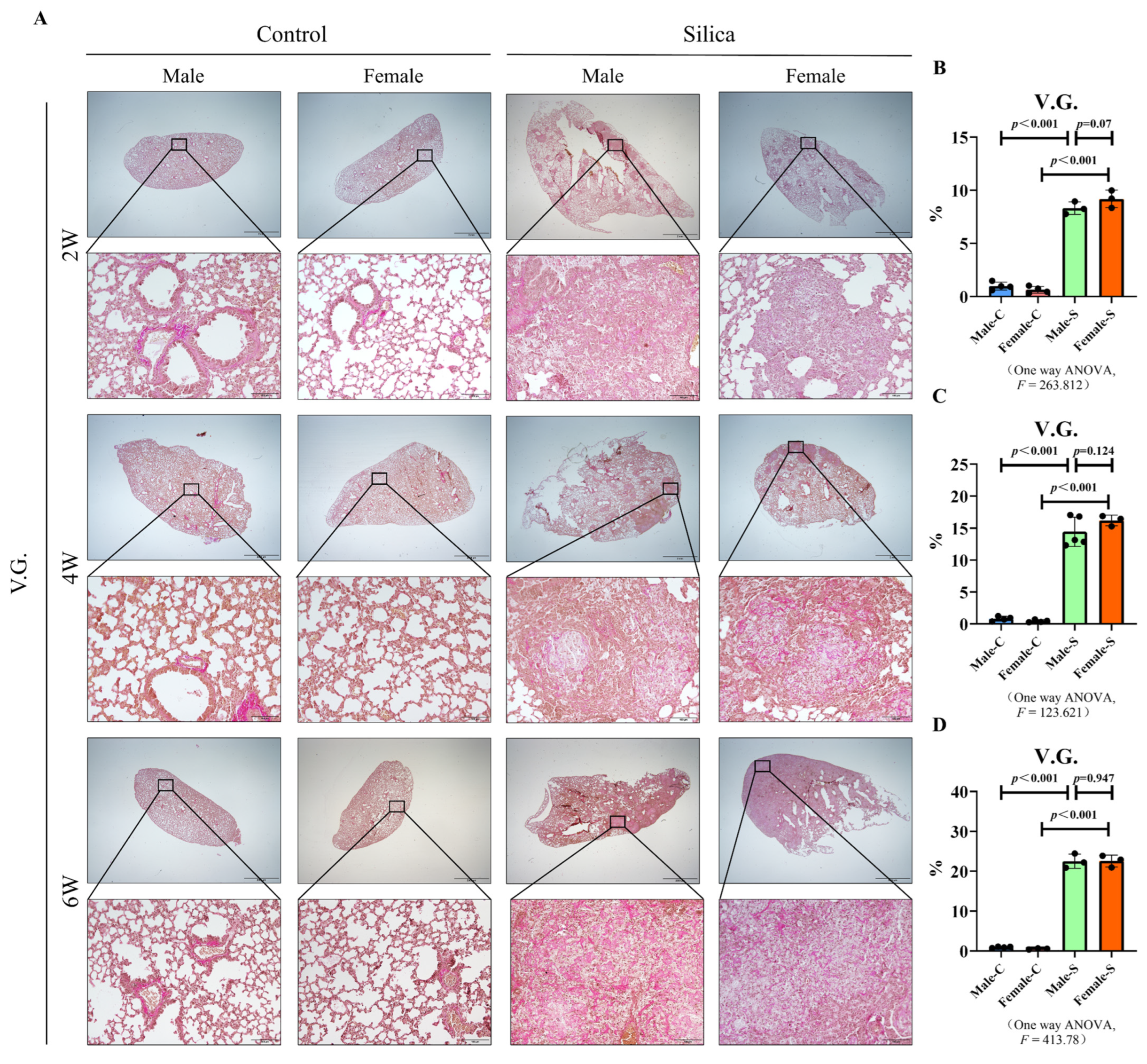 Ijms 23 14203 g003 Ijms 23 14203 g003