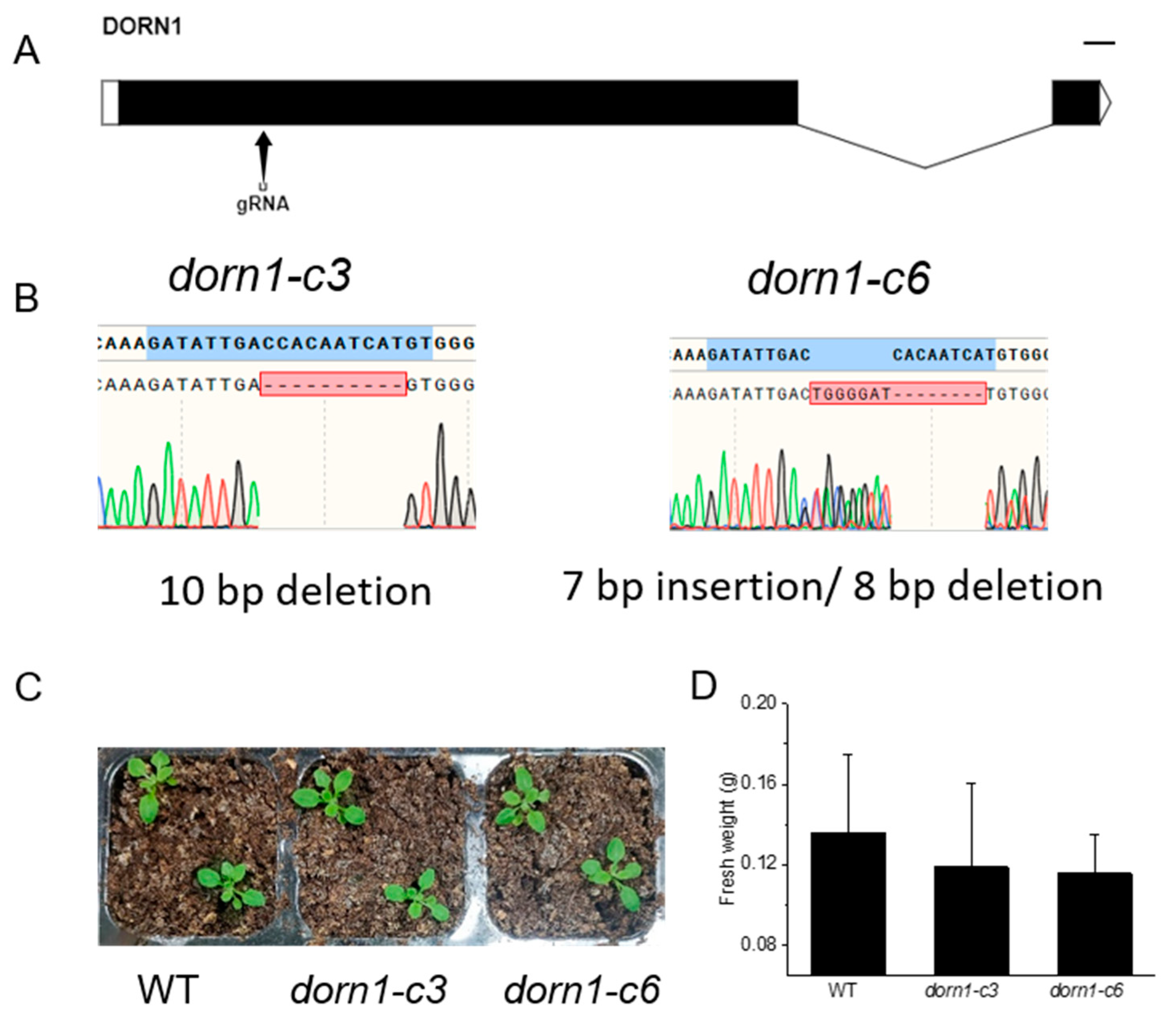 Ijms 23 14213 g001 Ijms 23 14213 g001