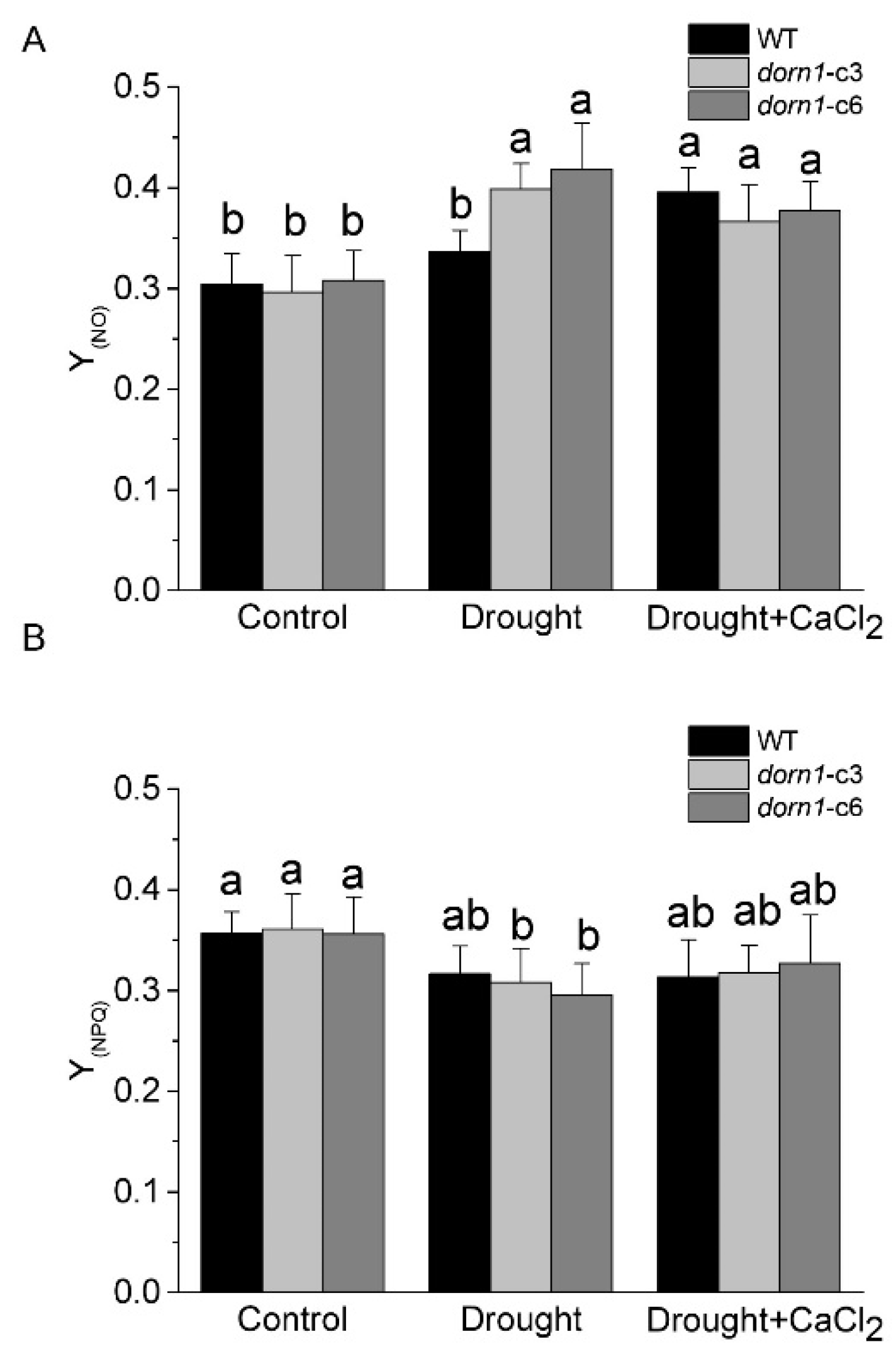 Ijms 23 14213 g004 Ijms 23 14213 g004