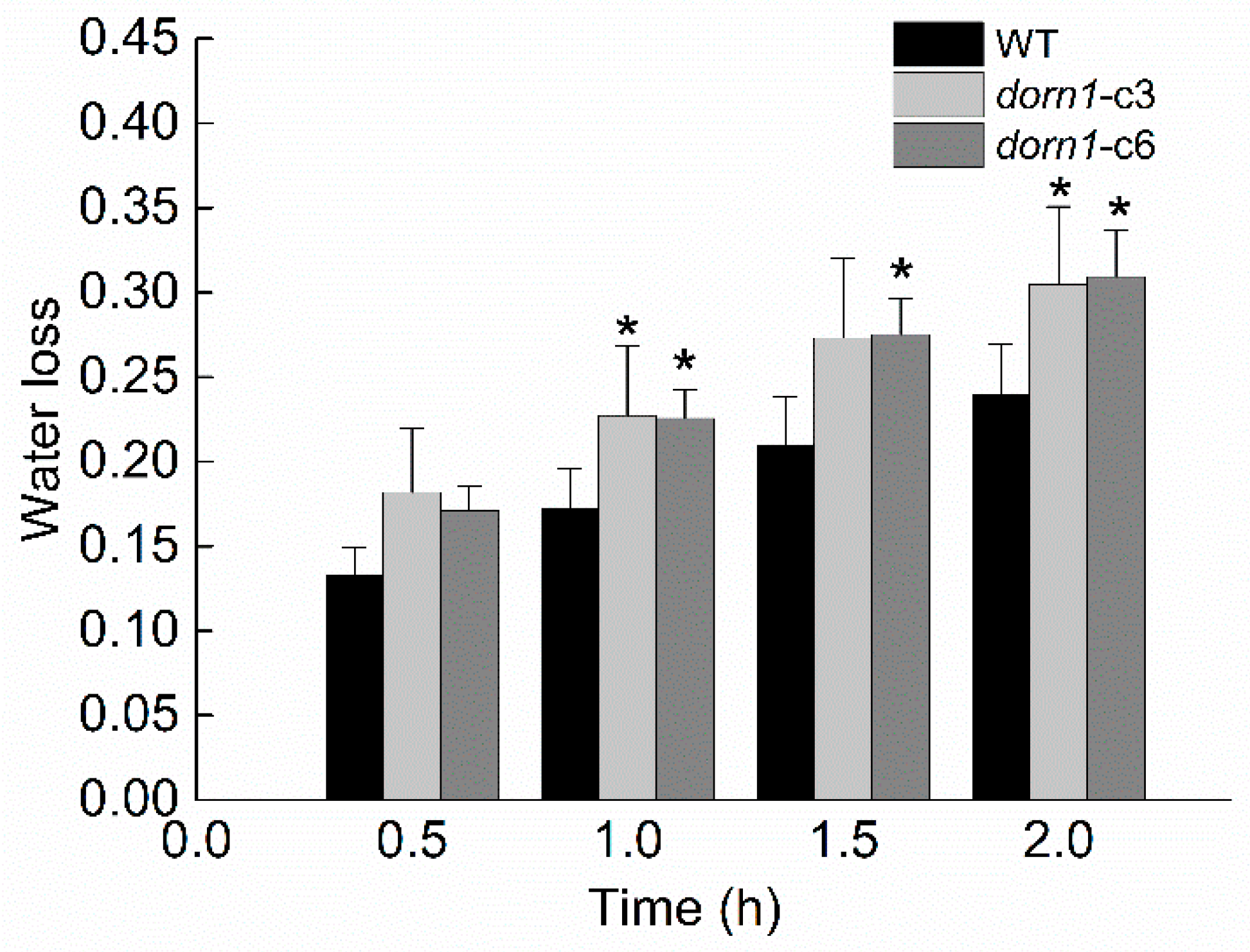 Ijms 23 14213 g005 Ijms 23 14213 g005