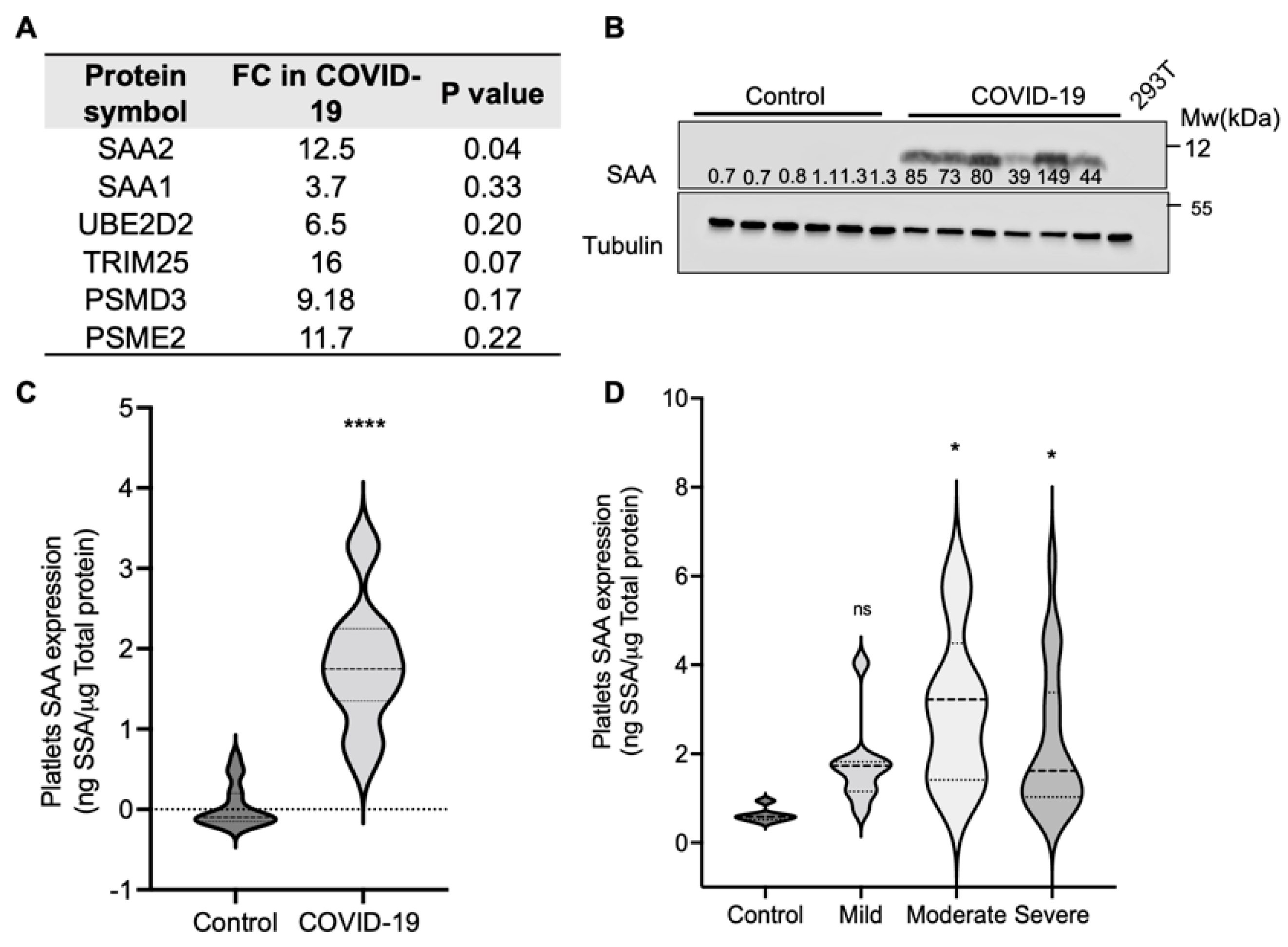 Ijms 23 14243 g001 Ijms 23 14243 g001