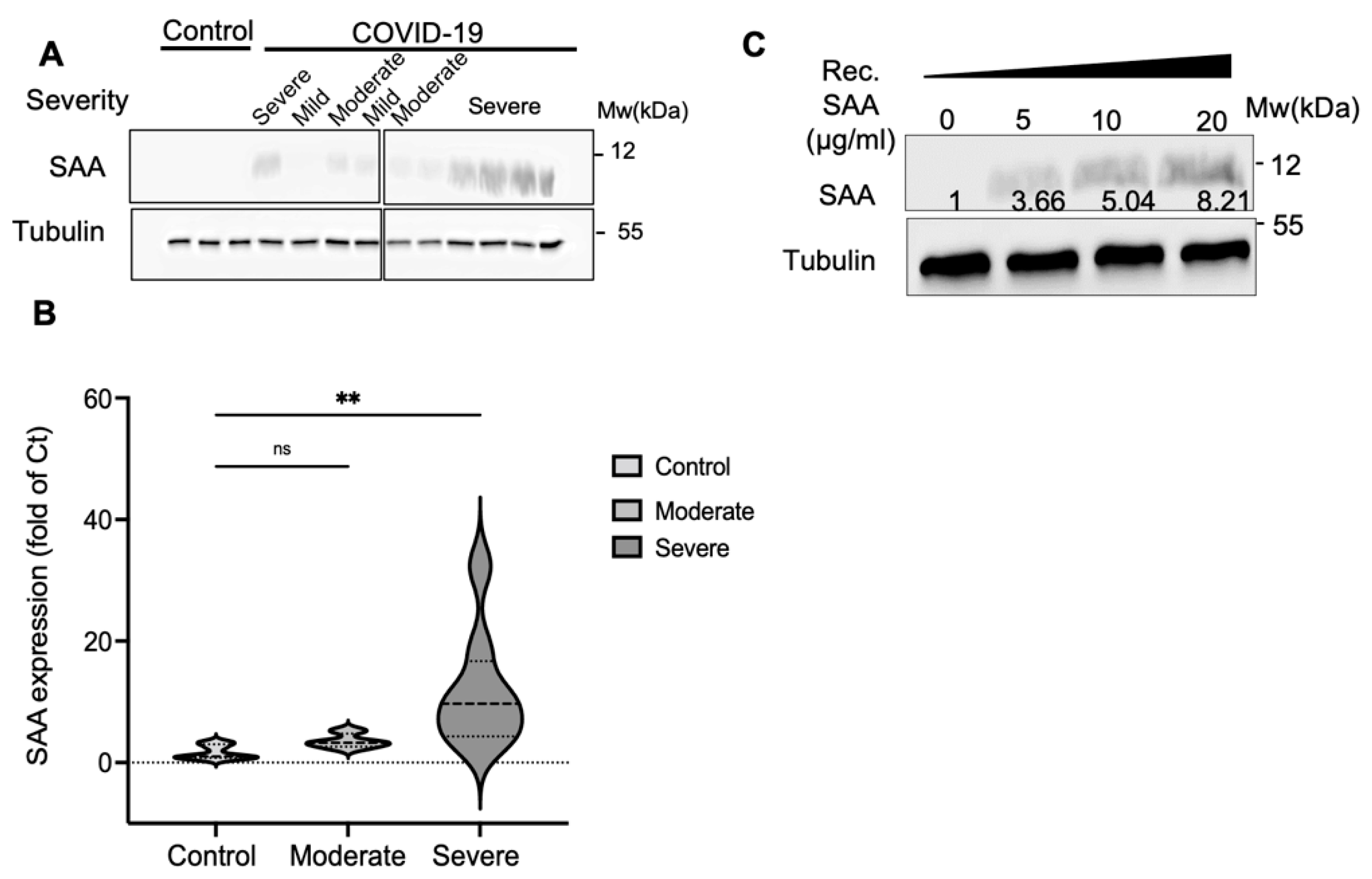Ijms 23 14243 g002 Ijms 23 14243 g002