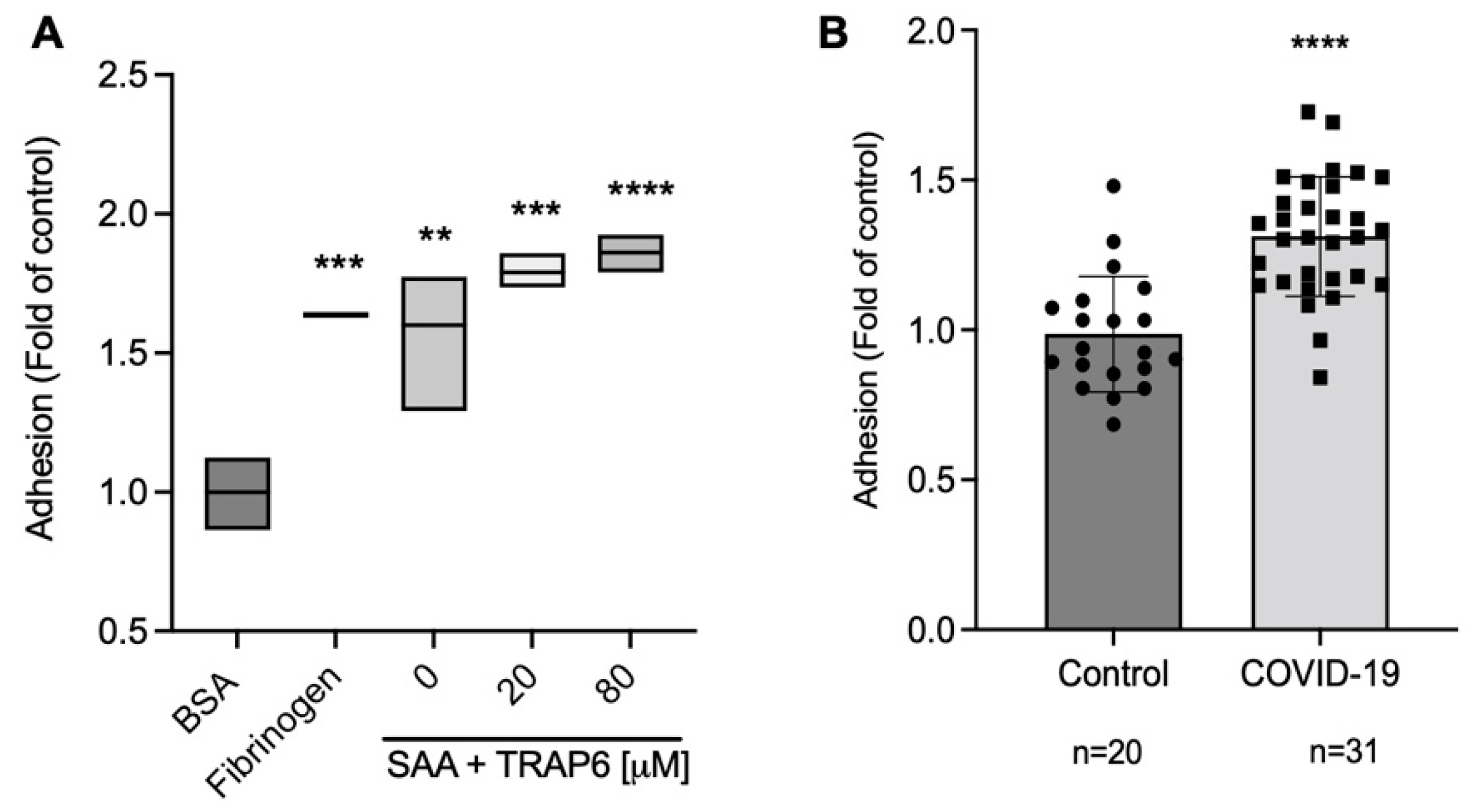 Ijms 23 14243 g004 Ijms 23 14243 g004