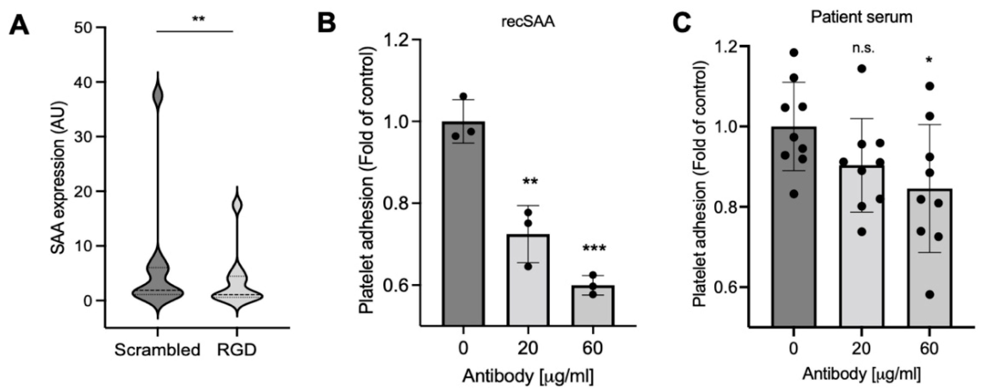 Ijms 23 14243 g005 Ijms 23 14243 g005