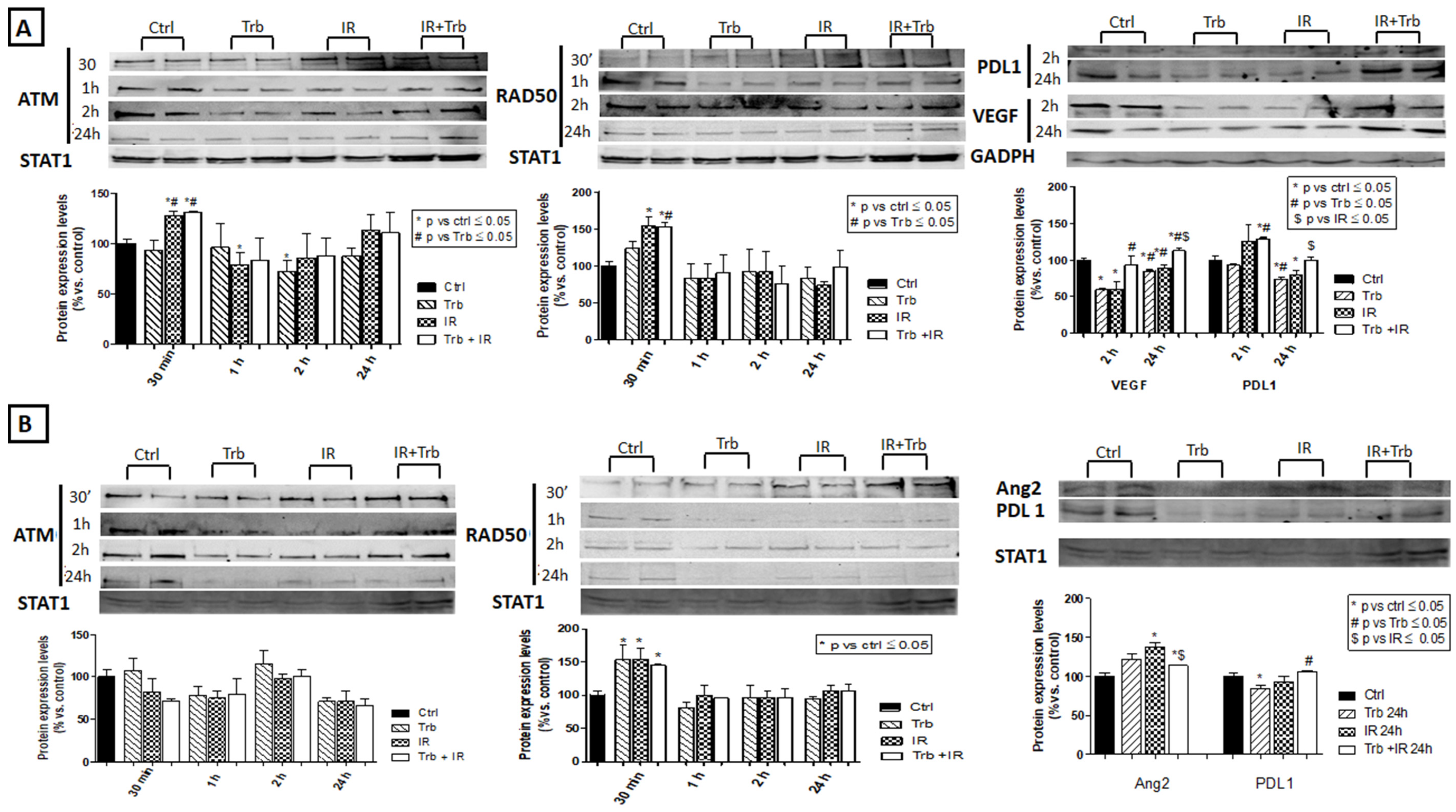 Ijms 23 14305 g007 Ijms 23 14305 g007
