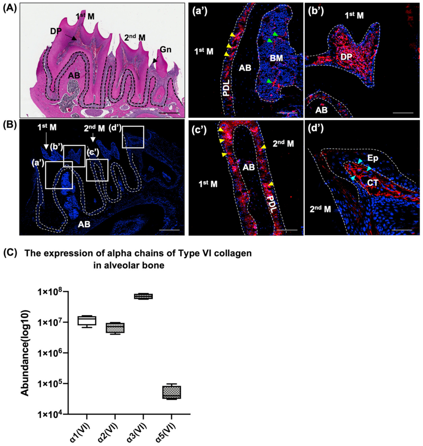Ijms 23 14347 g001 Ijms 23 14347 g001