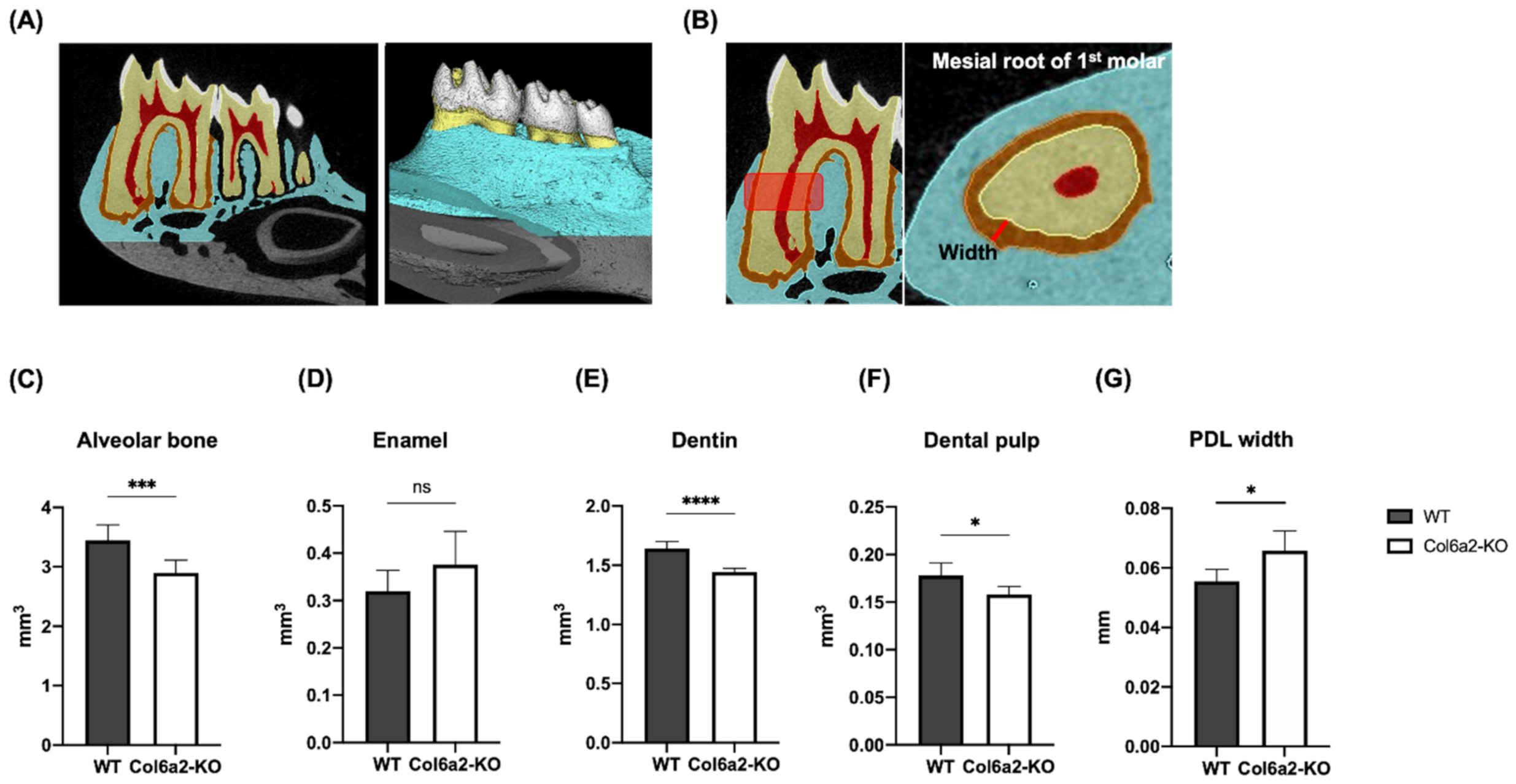 Ijms 23 14347 g002 Ijms 23 14347 g002