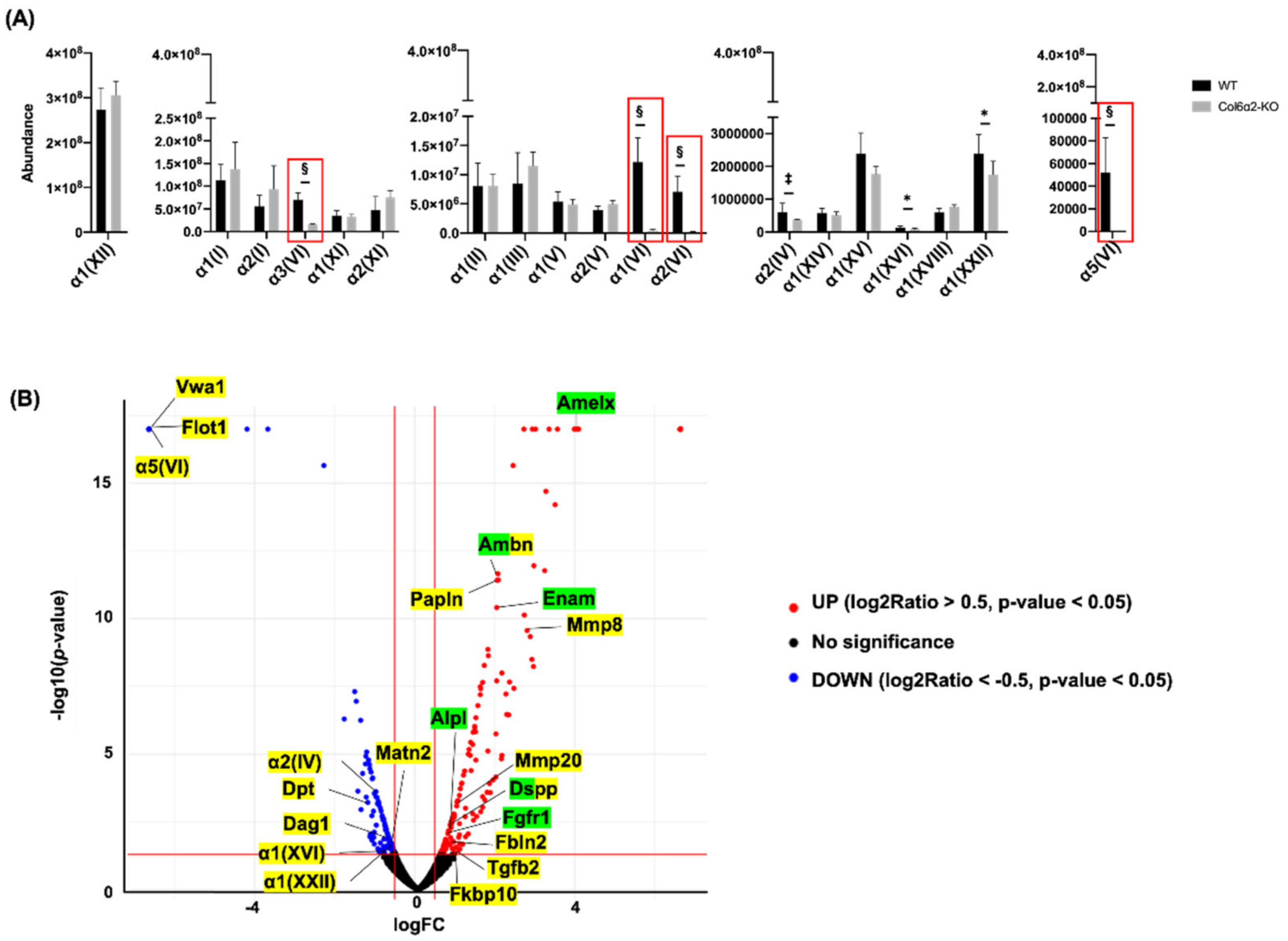 Ijms 23 14347 g004 Ijms 23 14347 g004