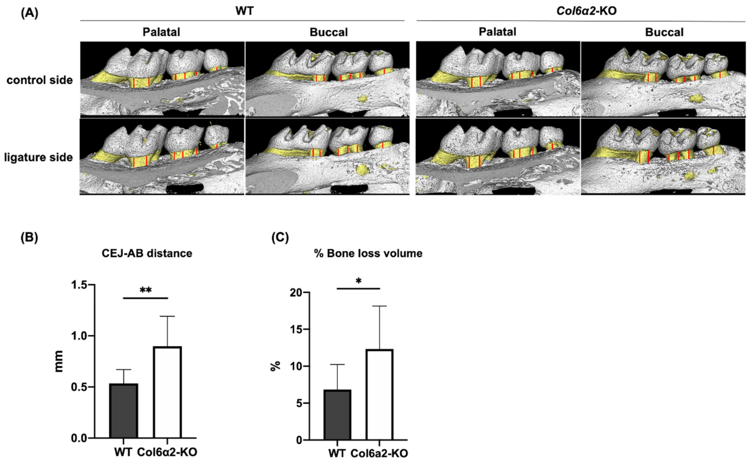 Ijms 23 14347 g005 Ijms 23 14347 g005