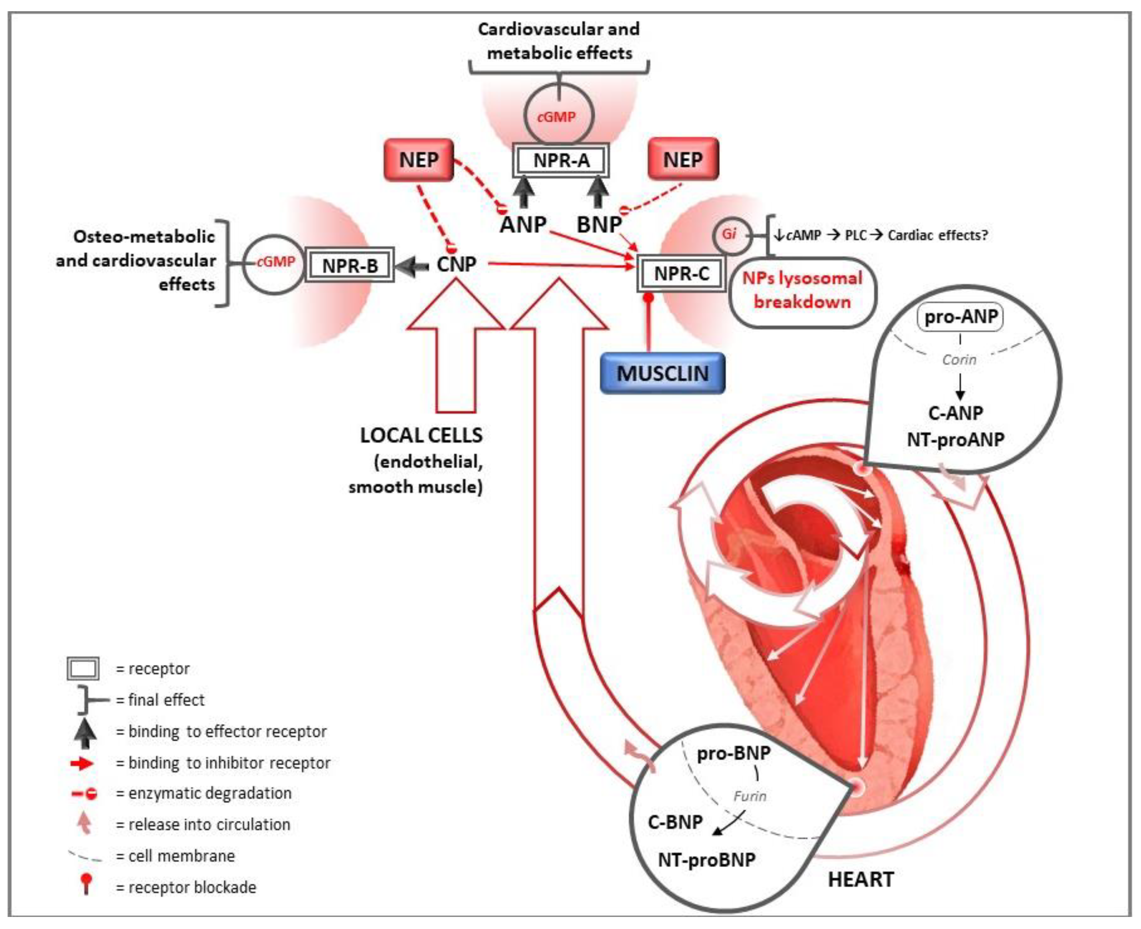 Ijms 23 14415 g002 Ijms 23 14415 g002