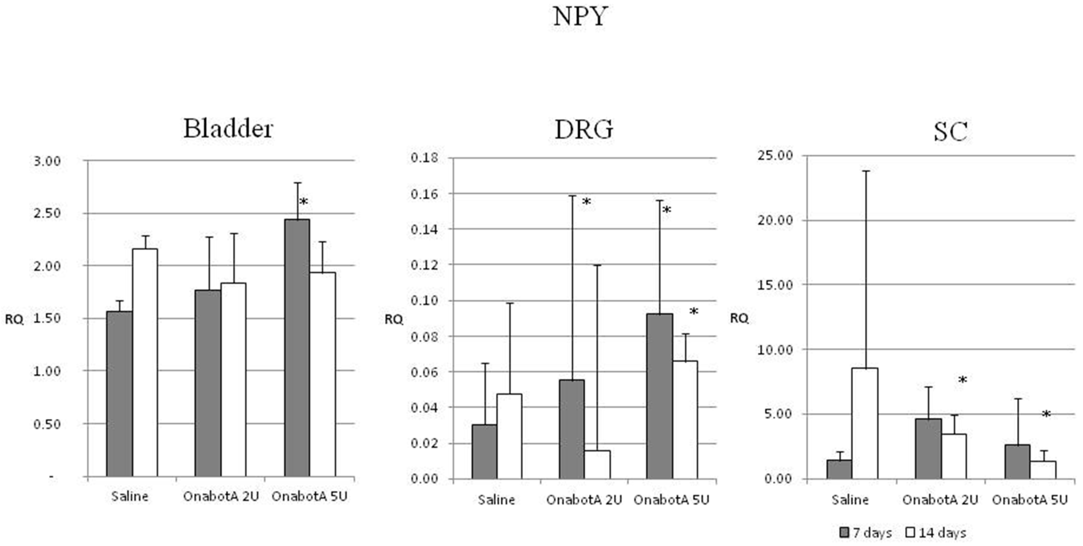 Ijms 23 14419 g003 Ijms 23 14419 g003