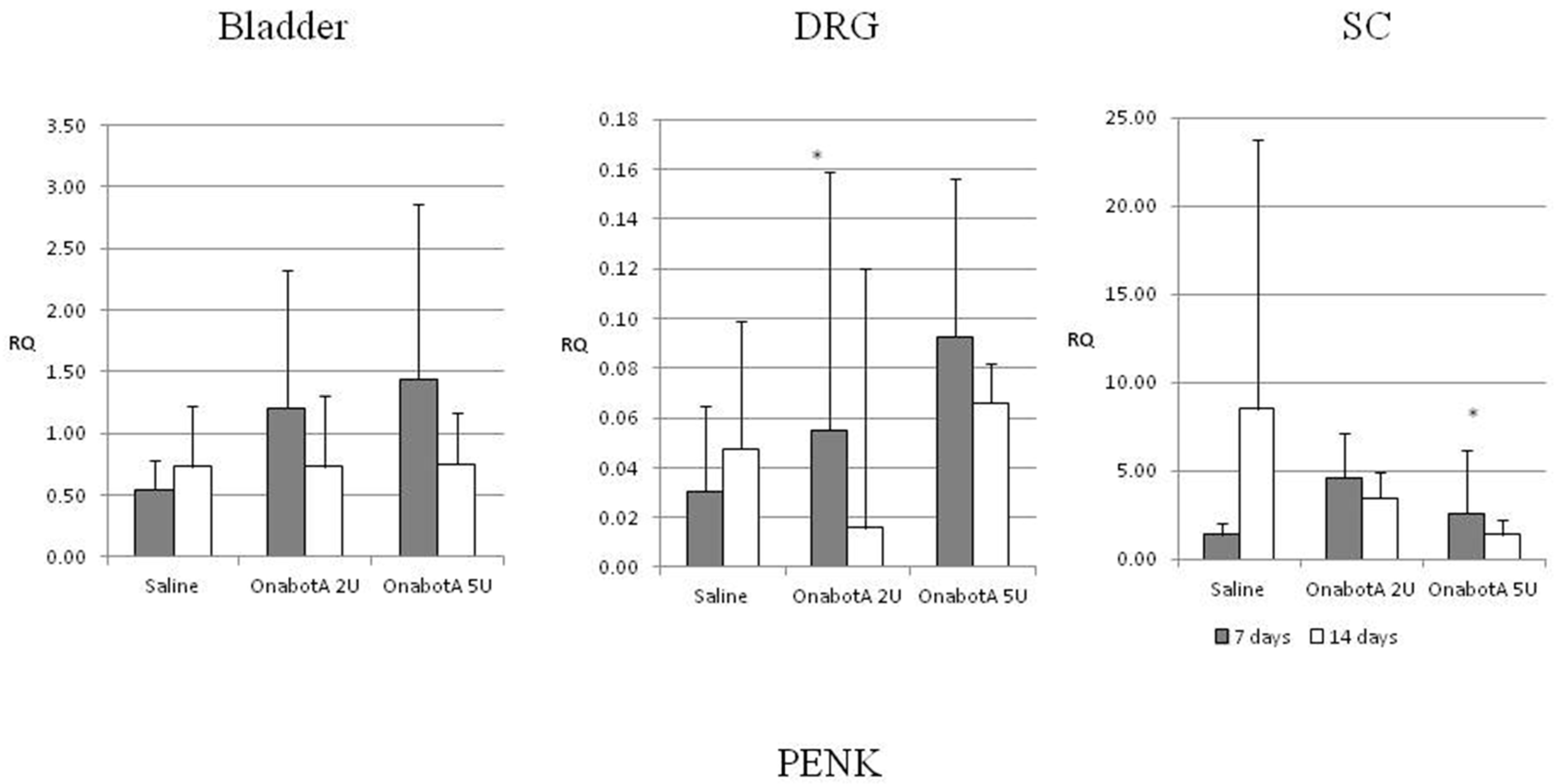 Ijms 23 14419 g004 Ijms 23 14419 g004