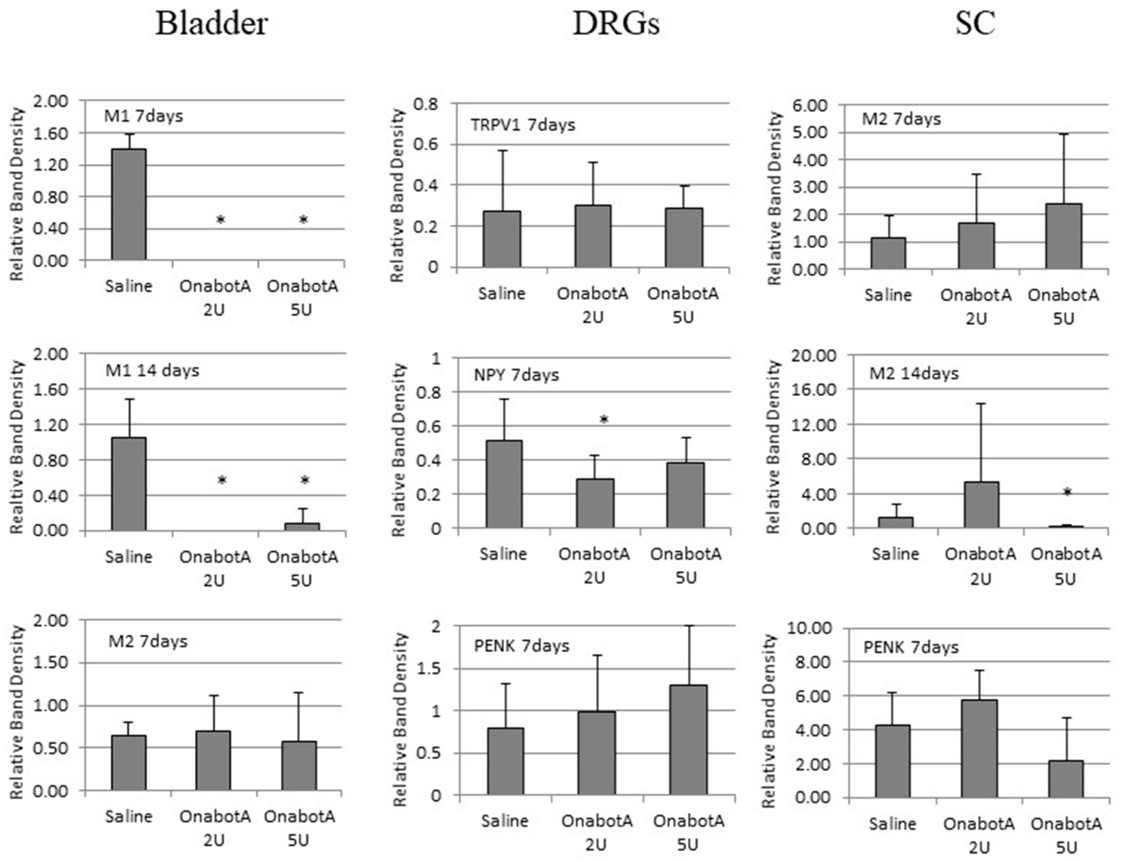Ijms 23 14419 g005 Ijms 23 14419 g005