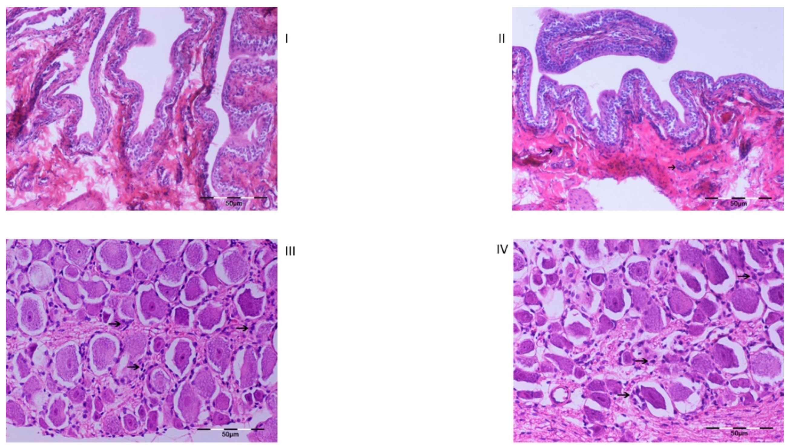 Ijms 23 14419 g006 Ijms 23 14419 g006