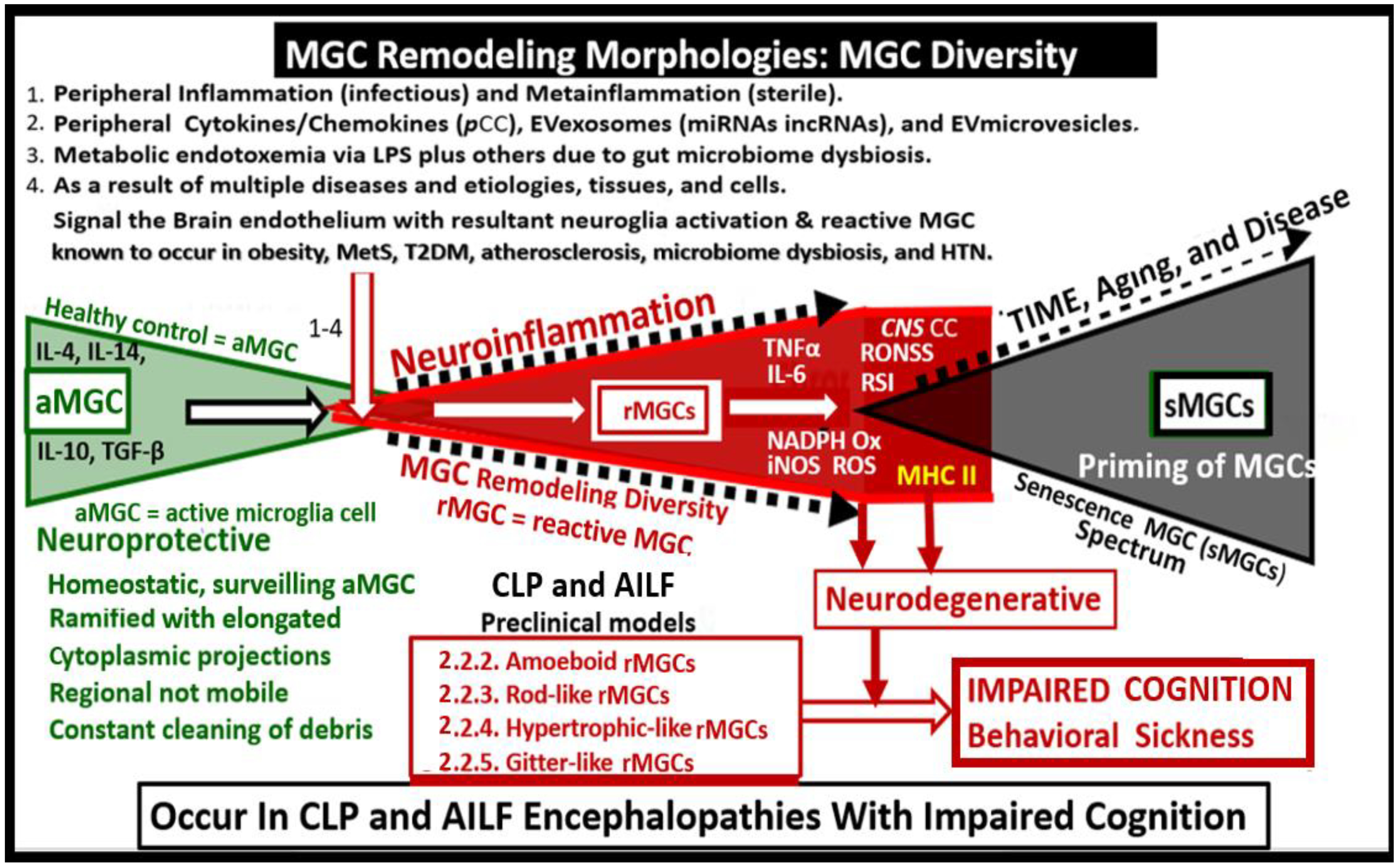 Ijms 23 14455 g008 Ijms 23 14455 g008
