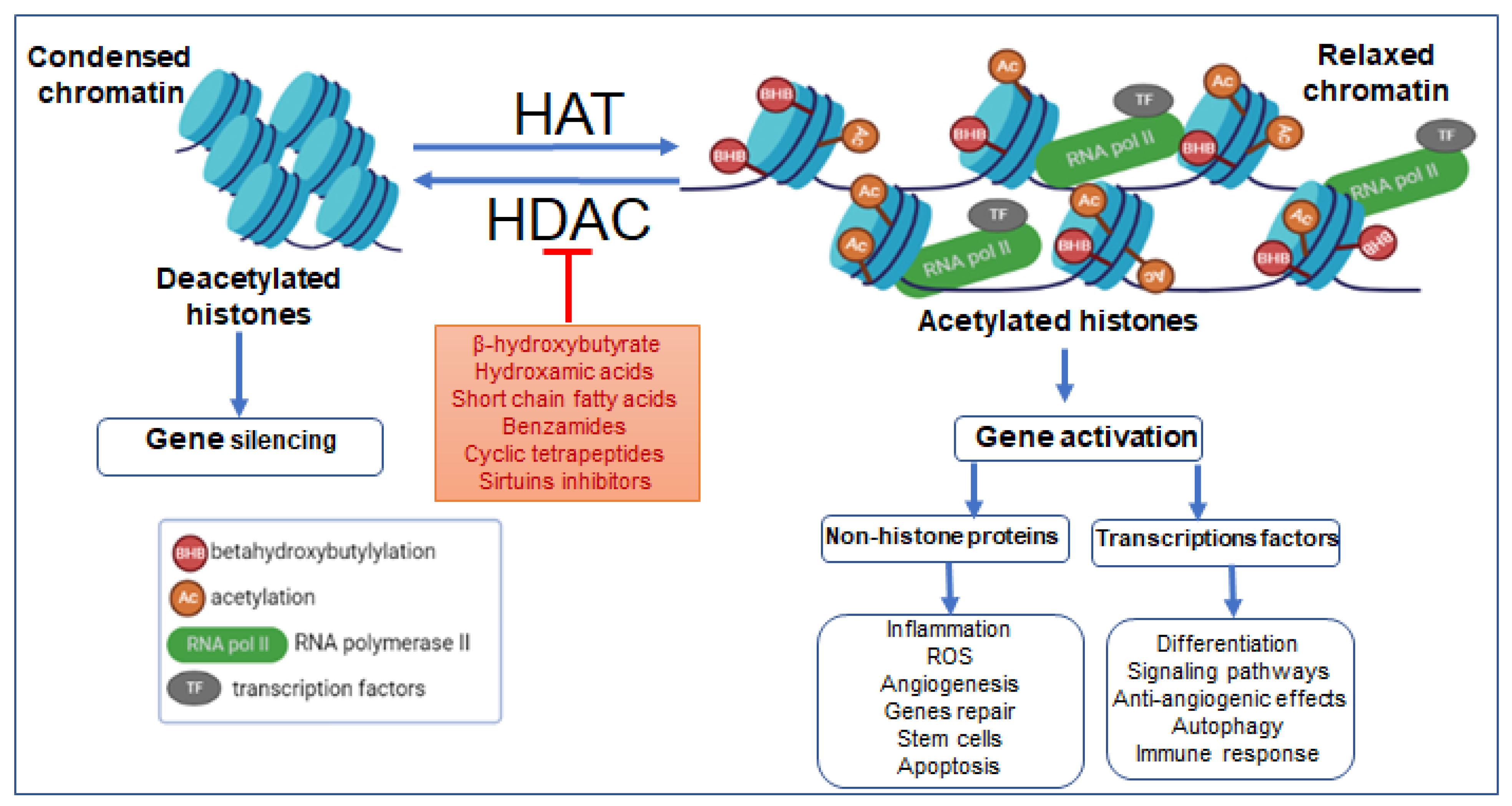 Ijms 23 14564 g002 Ijms 23 14564 g002