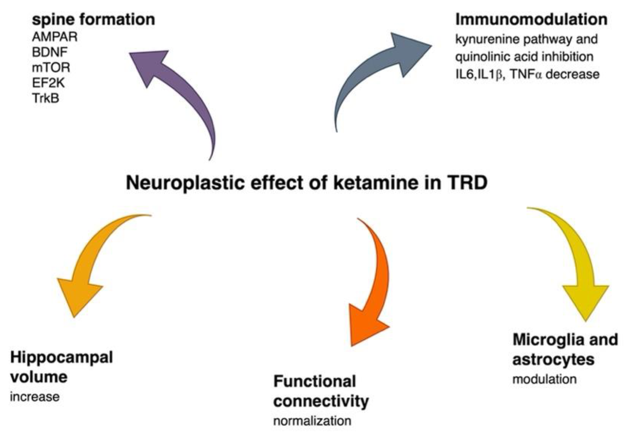 Ijms 23 14605 g003 Ijms 23 14605 g003