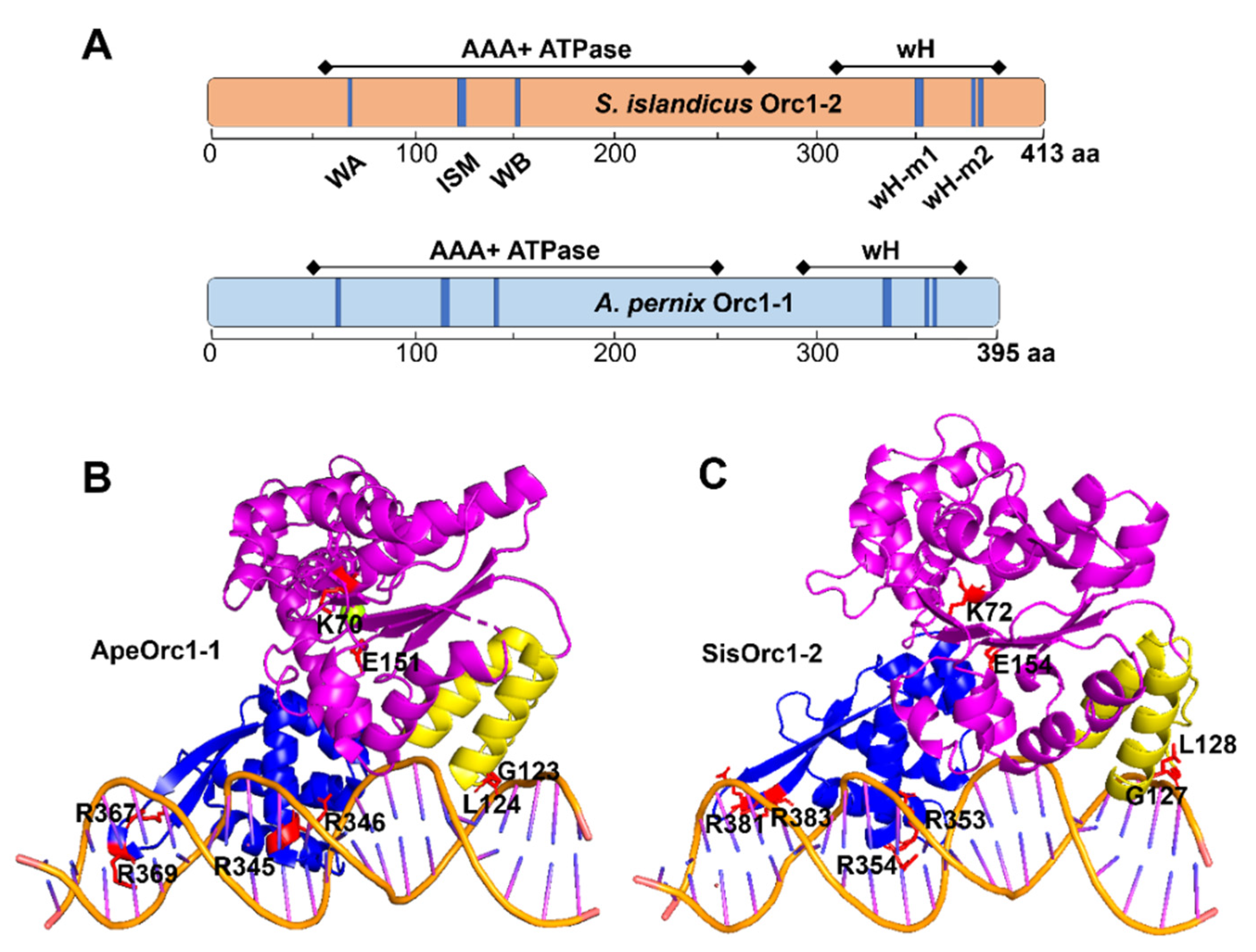 Ijms 23 14609 g001 Ijms 23 14609 g001